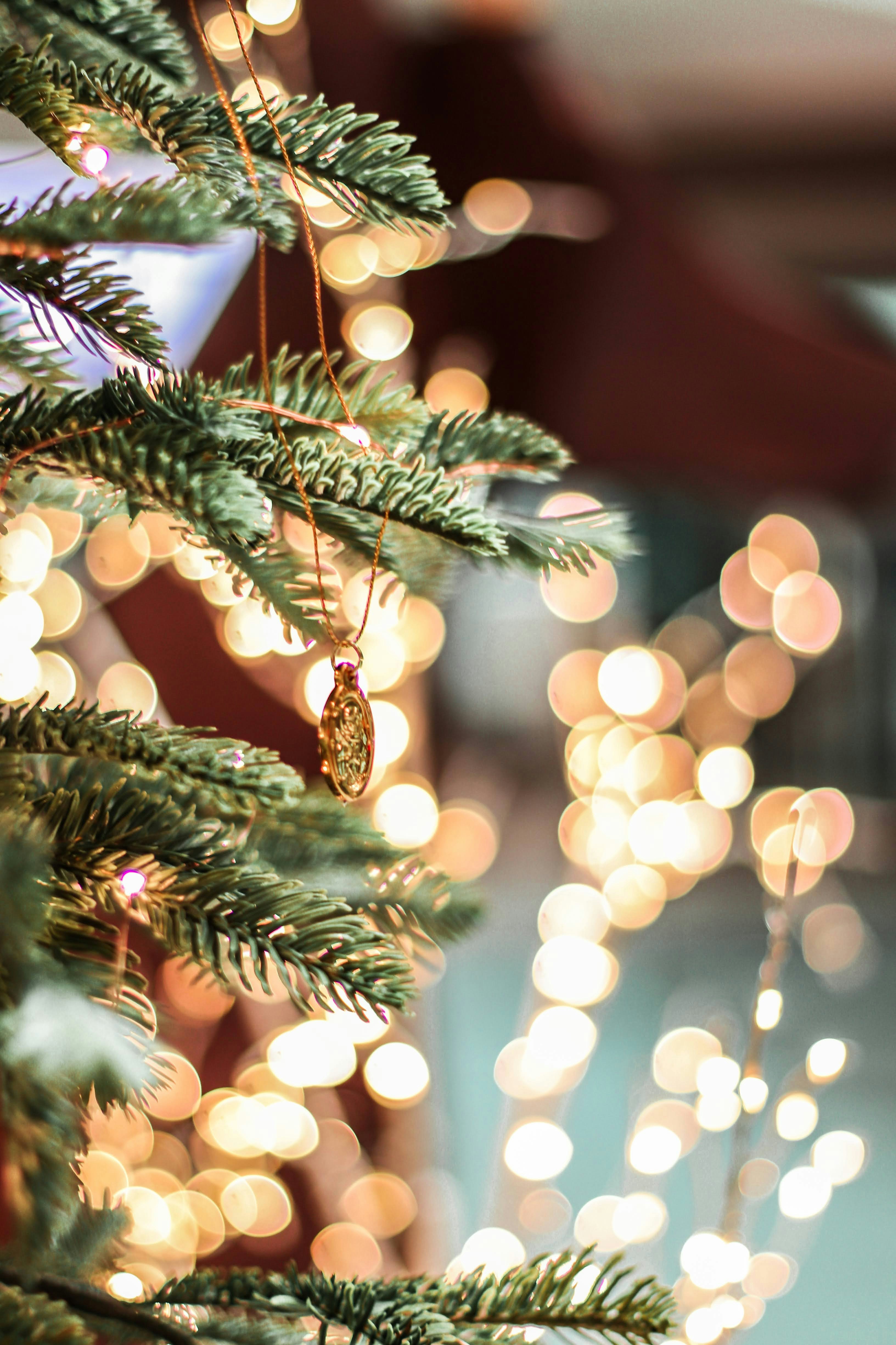 Photo by _chienvuong_