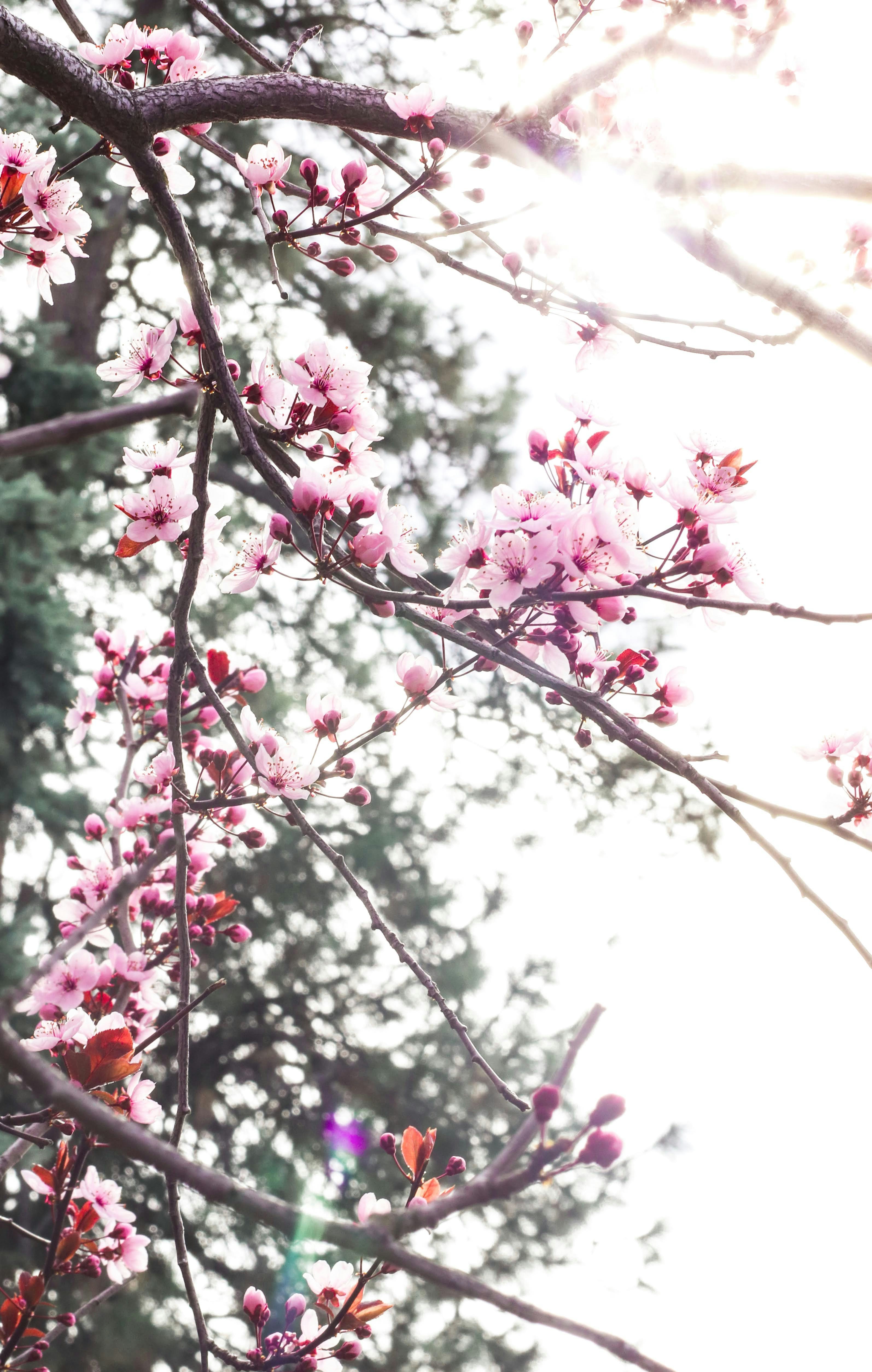 Photo by _chienvuong_