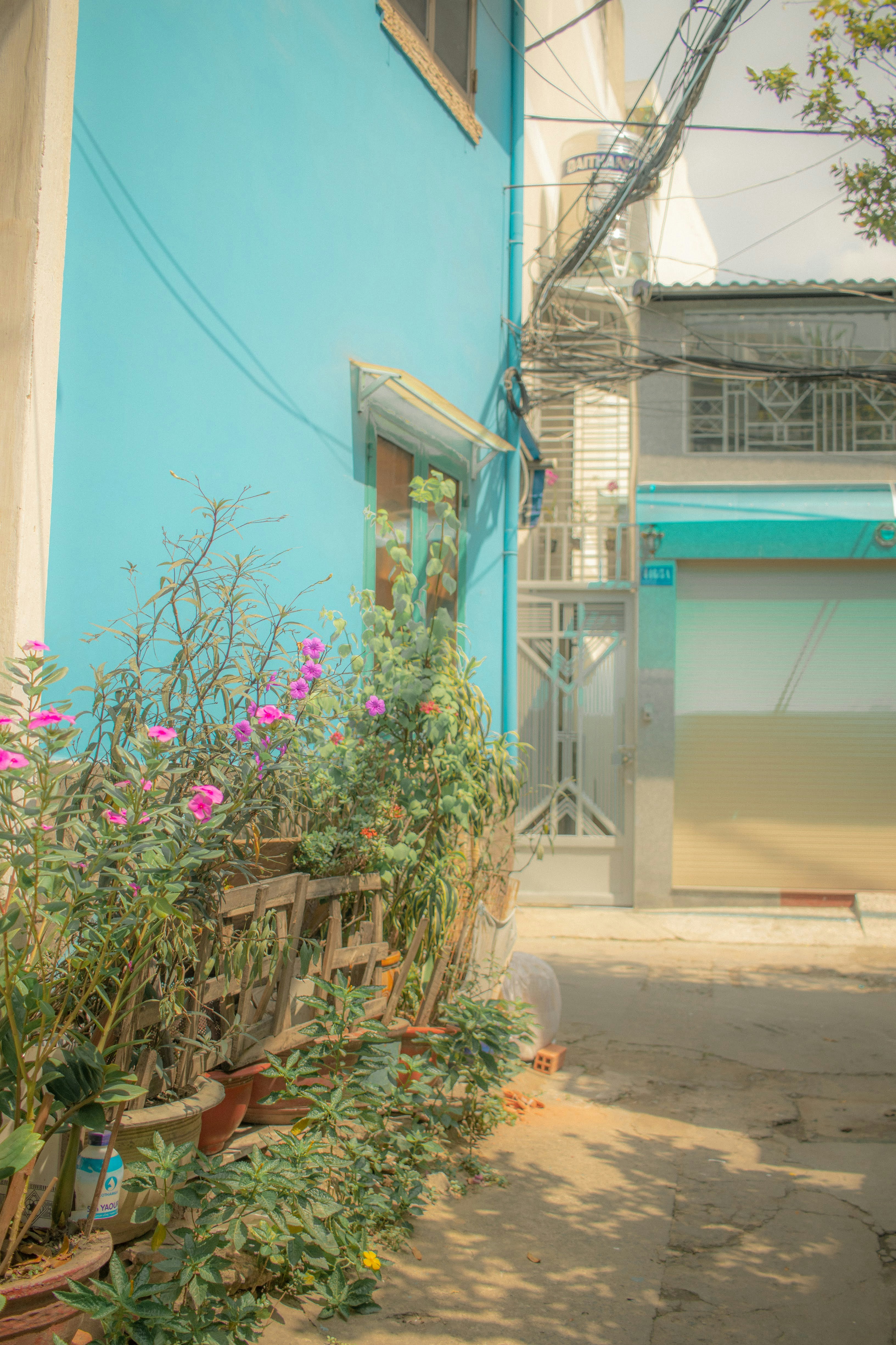 Photo by _chienvuong_