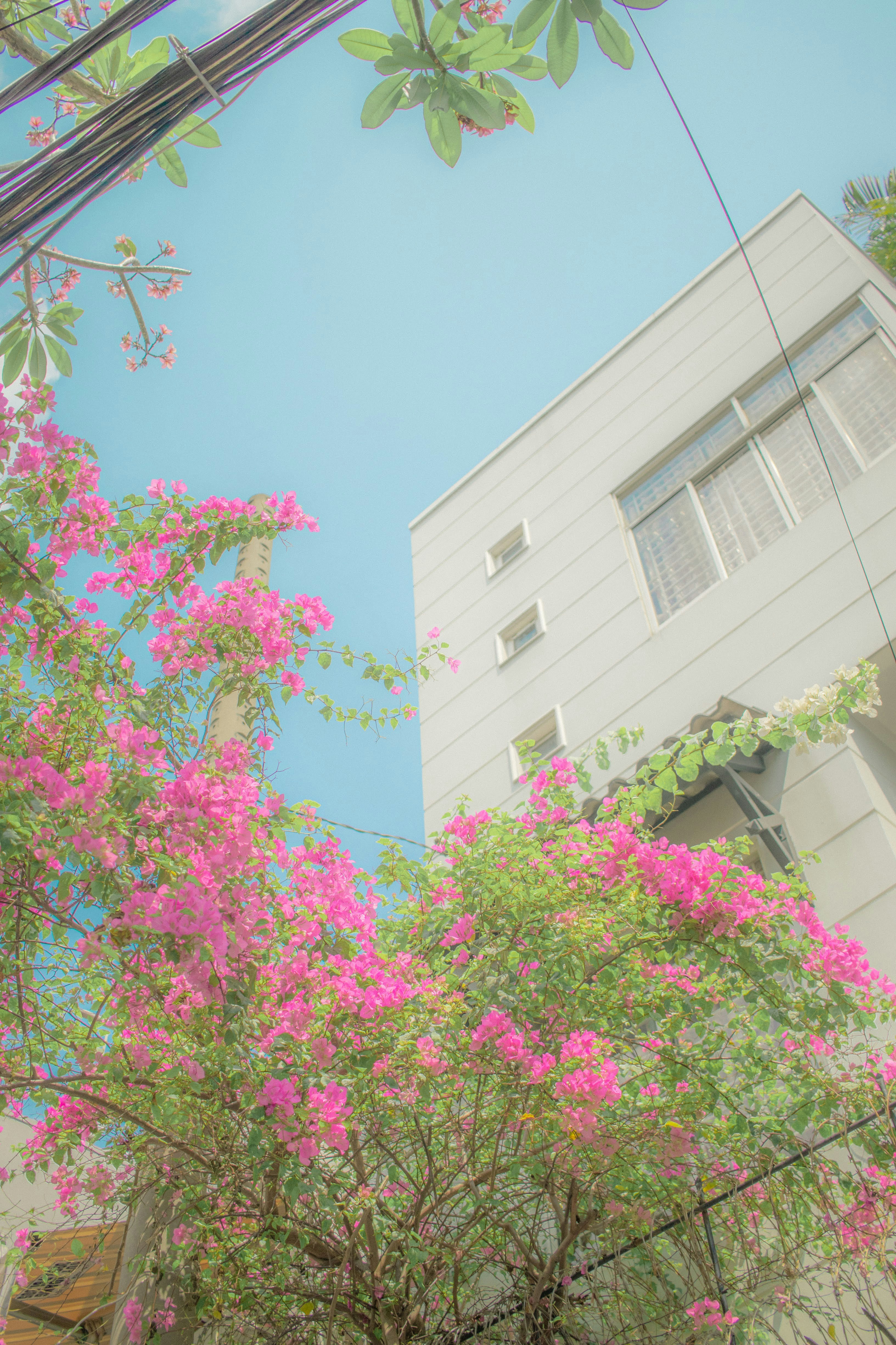 Photo by _chienvuong_