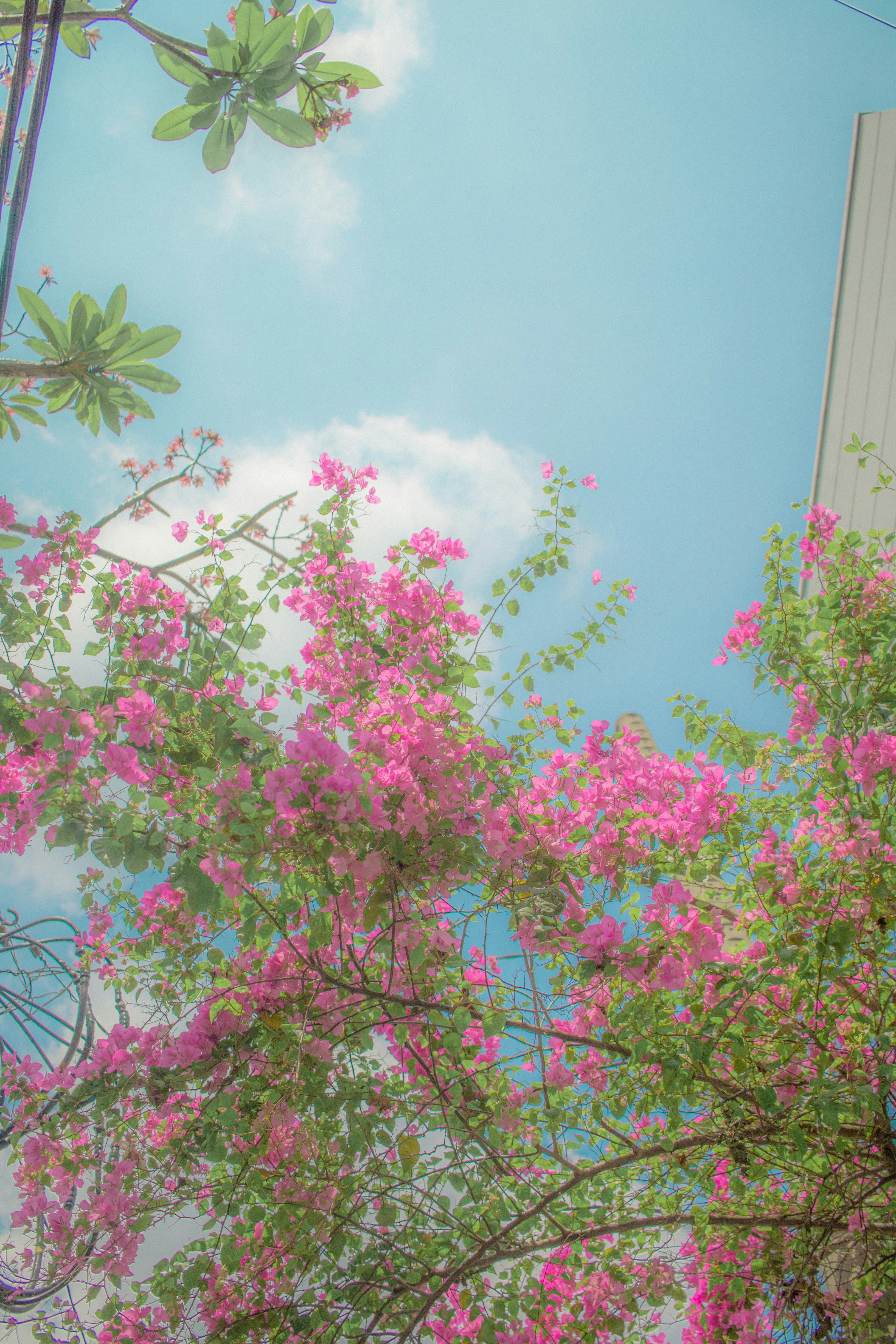 Photo by _chienvuong_