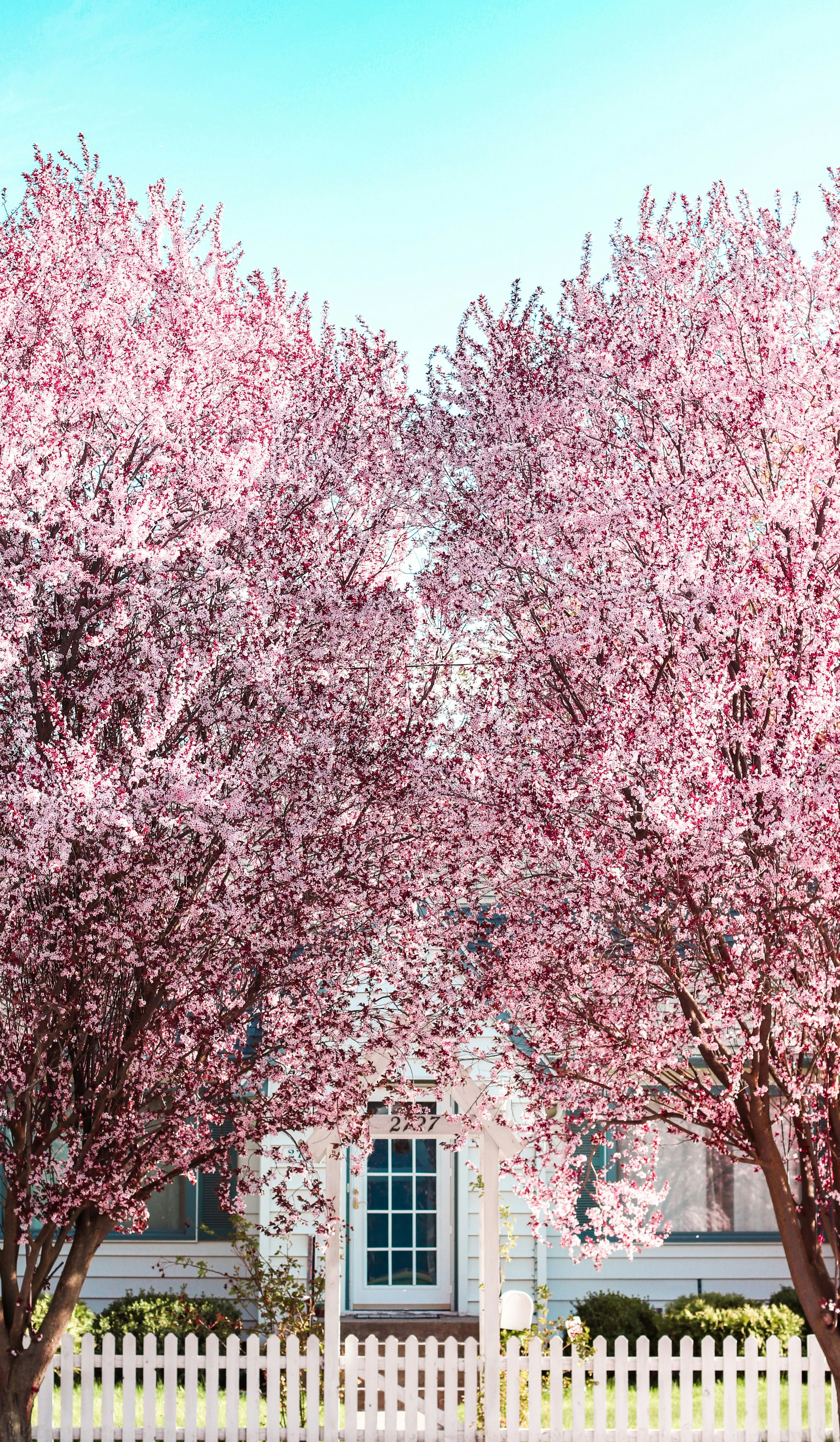 Photo by _chienvuong_