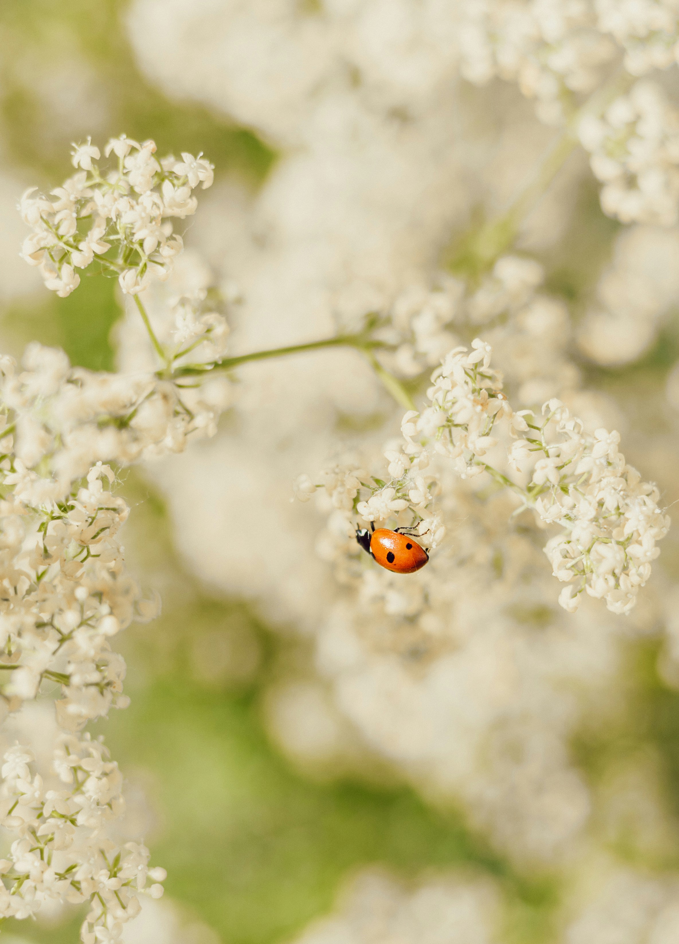 Photo by anamnesis33