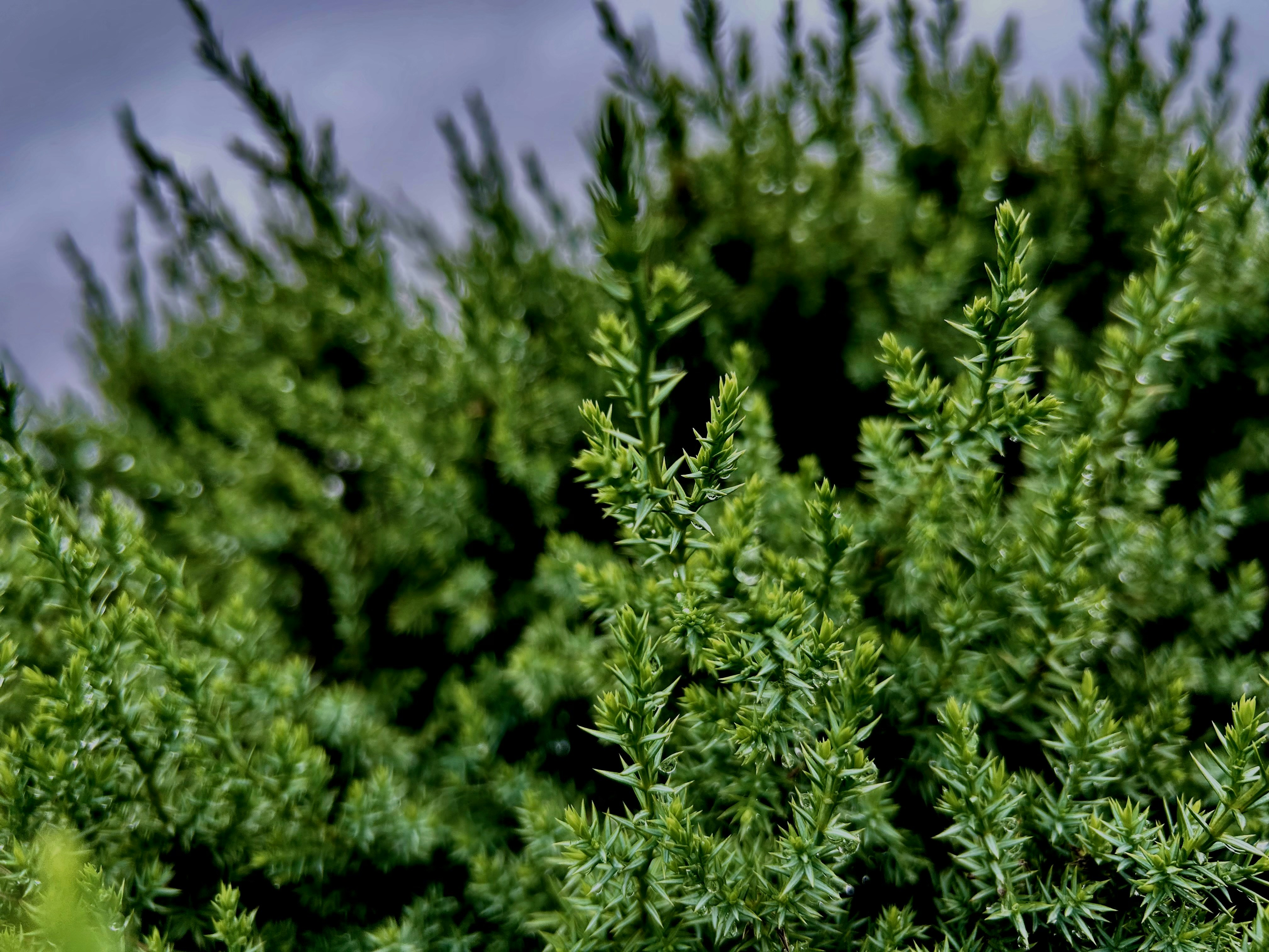 Photo by sparsh_2703