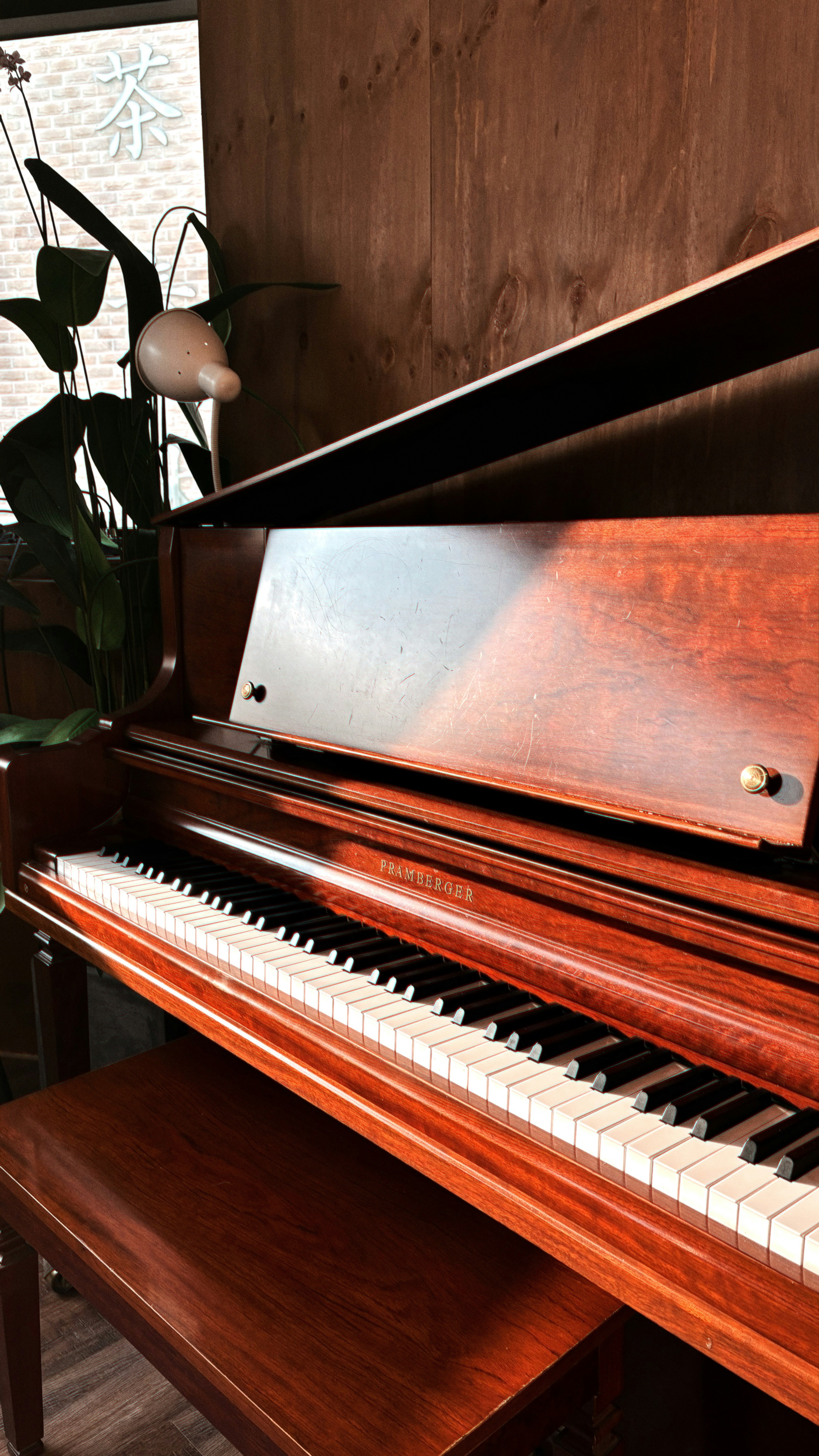 photo-1720604098203-030eddca4cb6?ixid=M3wxMjA3fDB8MXxzZWFyY2h8MTJ8fCVFQyU4NCU5QyVFQyU5QSVCOCUyMCVFQiVBNiVCQyVFRCU5NCU4NCUyMCVFQiVBNyU4OCVFQyU4MiVBQyVFQyVBNyU4MHxlbnwwfHx8fDE3NDE5MDg5ODB8MA\u0026ixlib=rb-4.0.3