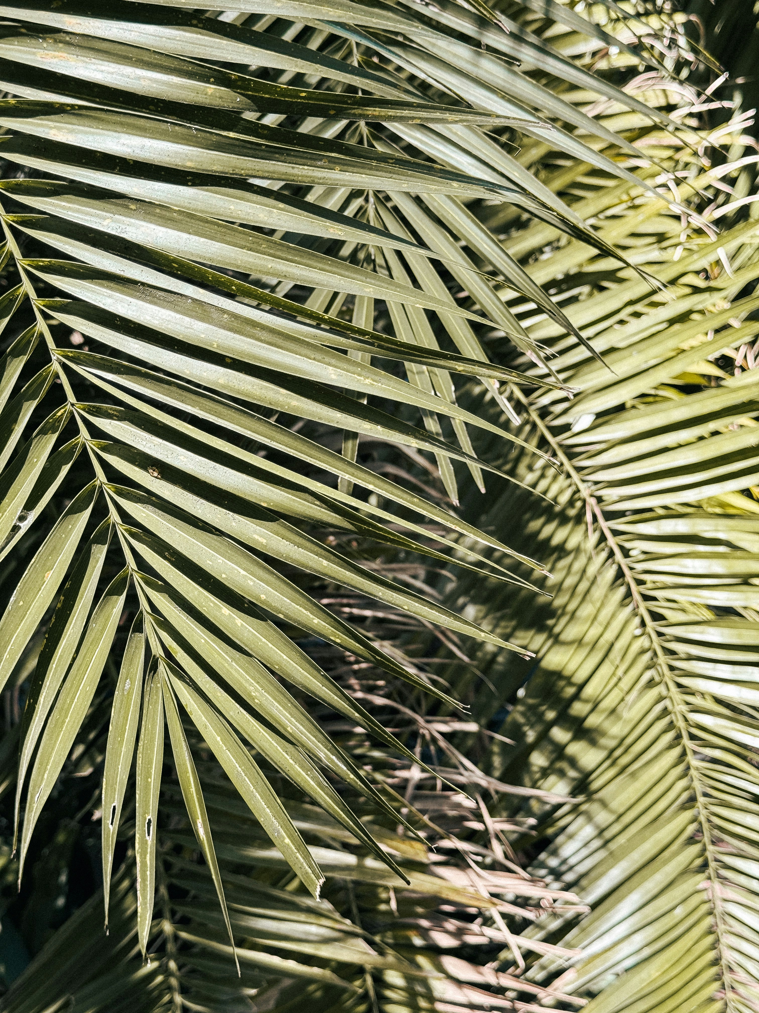 Photo by zvada_photo