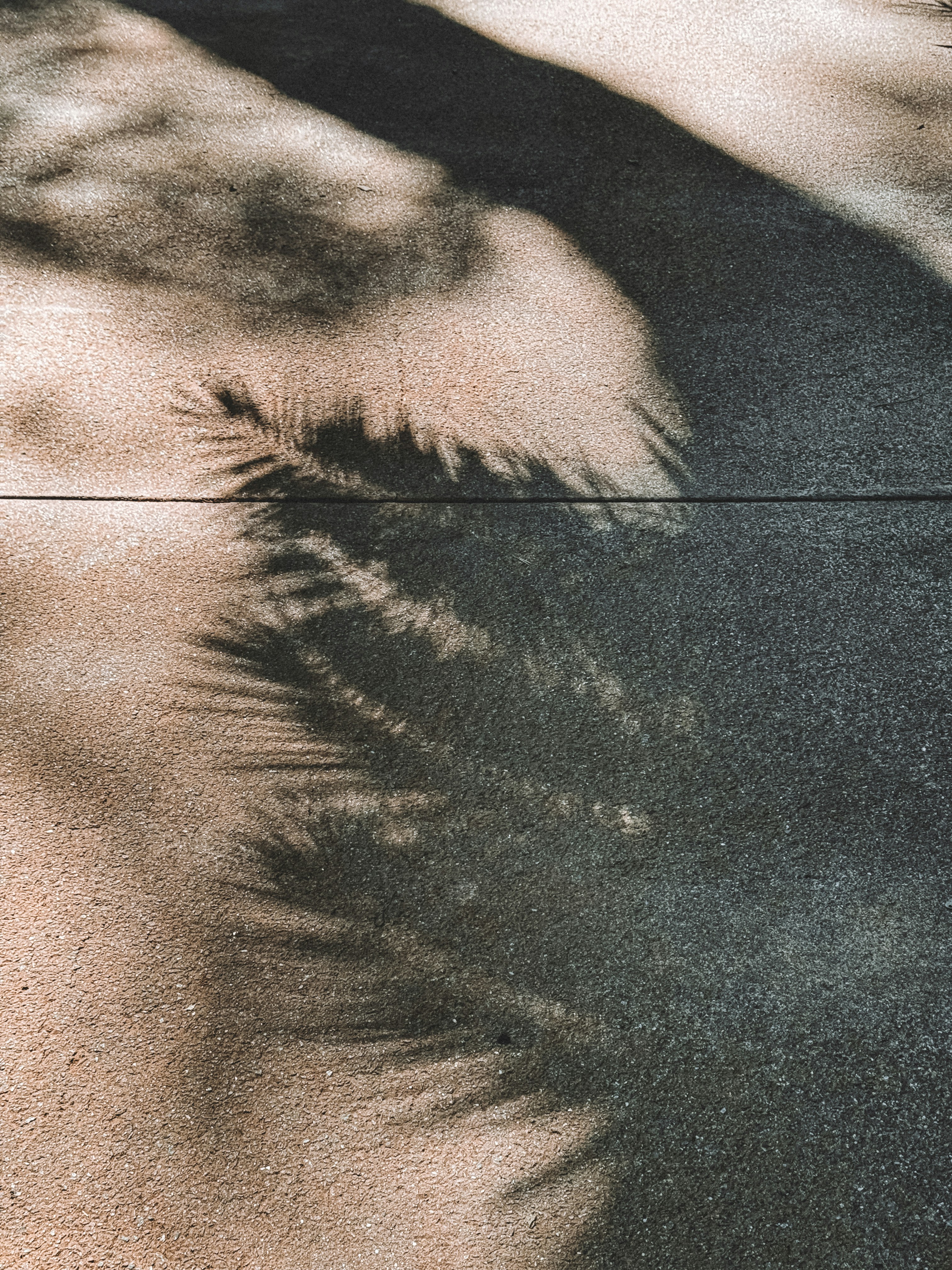 Photo by zvada_photo