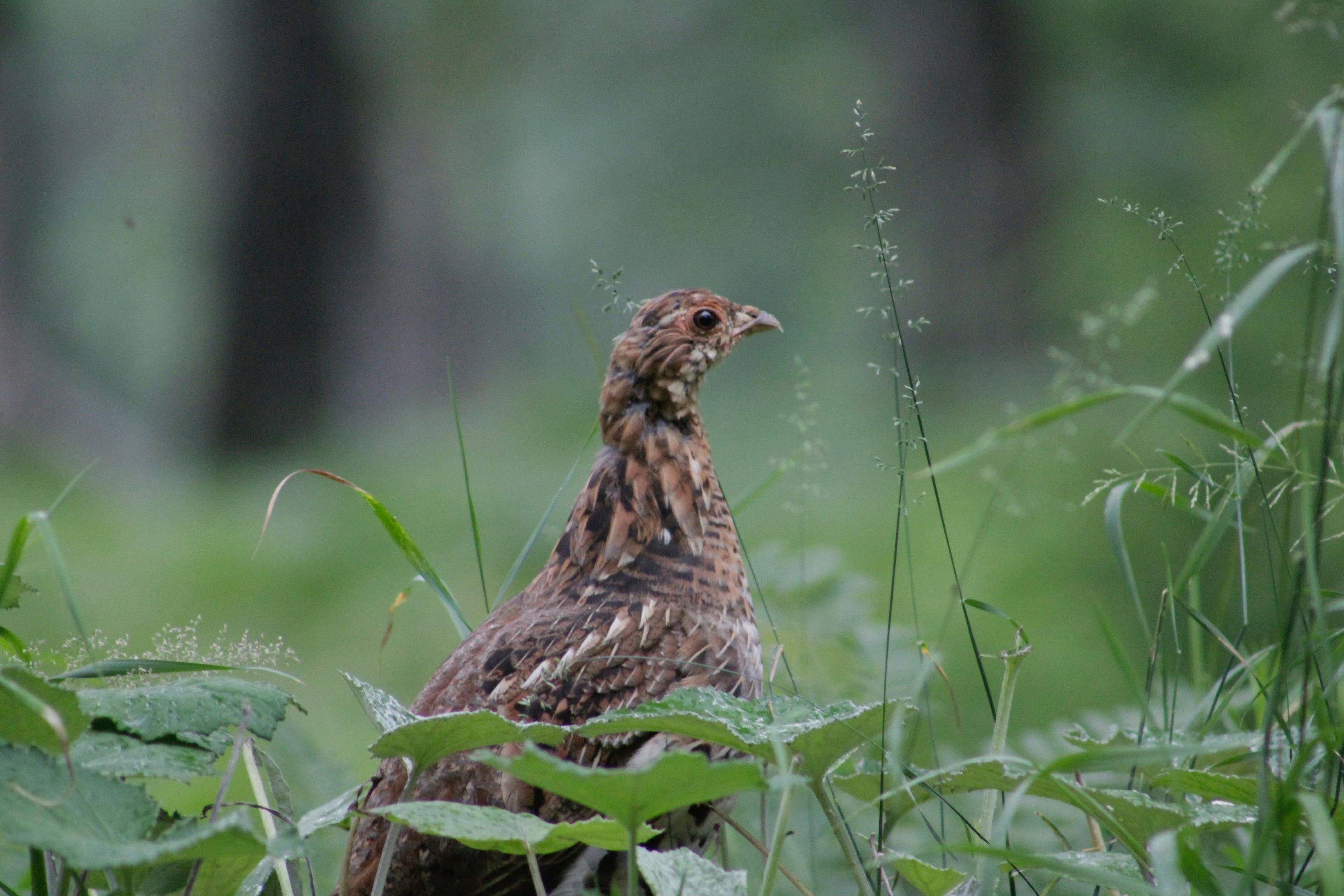 Photo by lisa_duqlaw