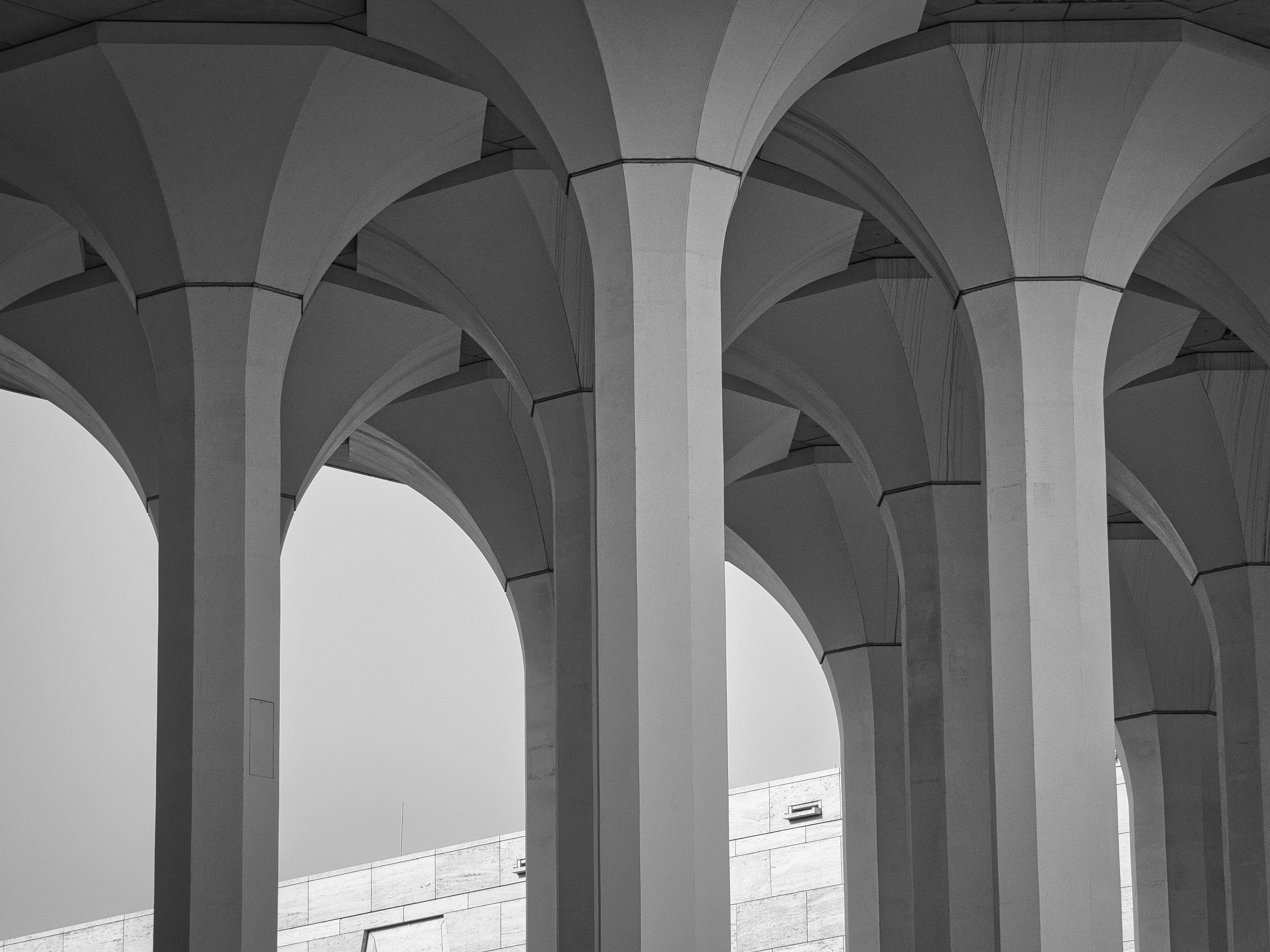 Photo by guenifi_ouassim