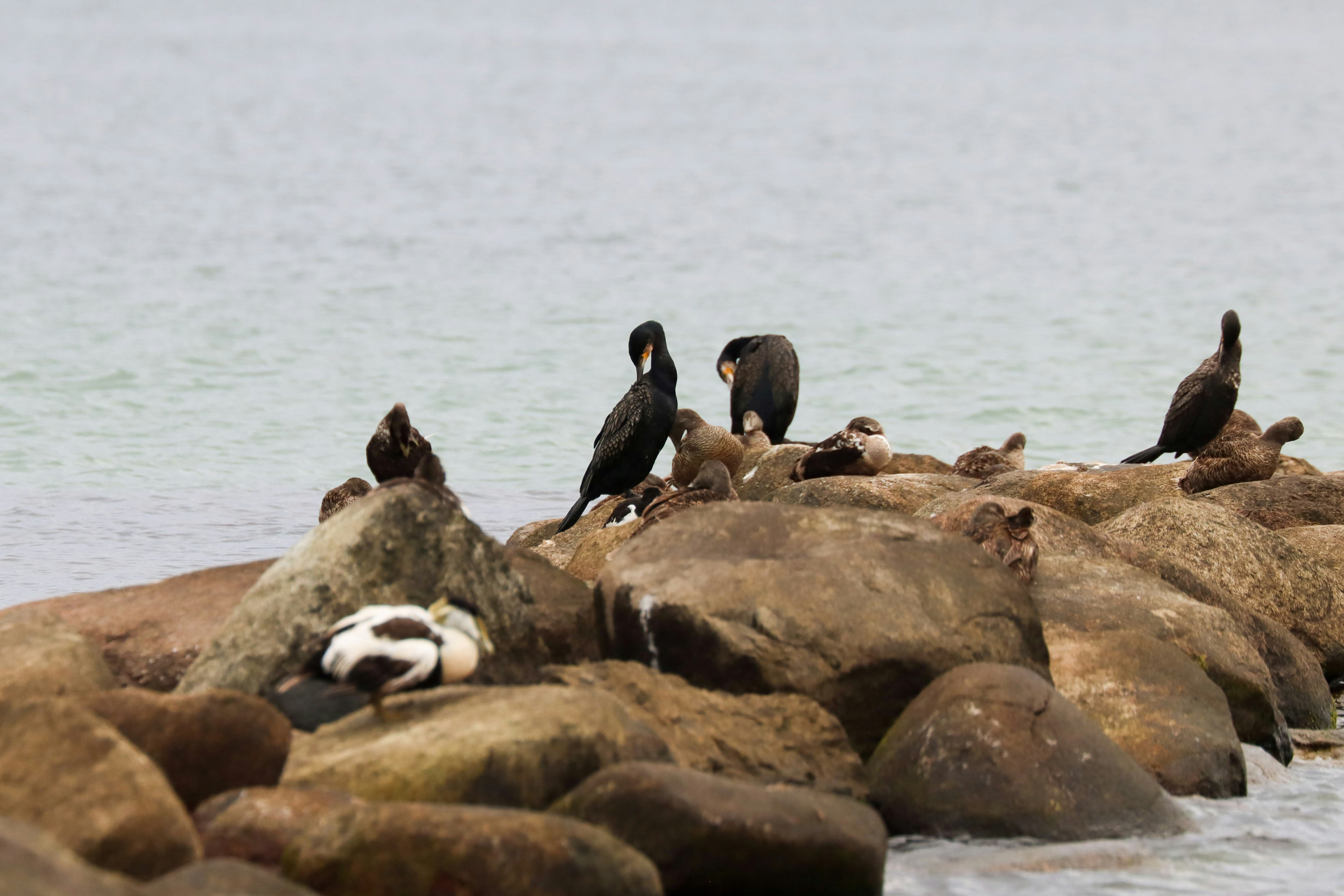 Photo by larsportjanow