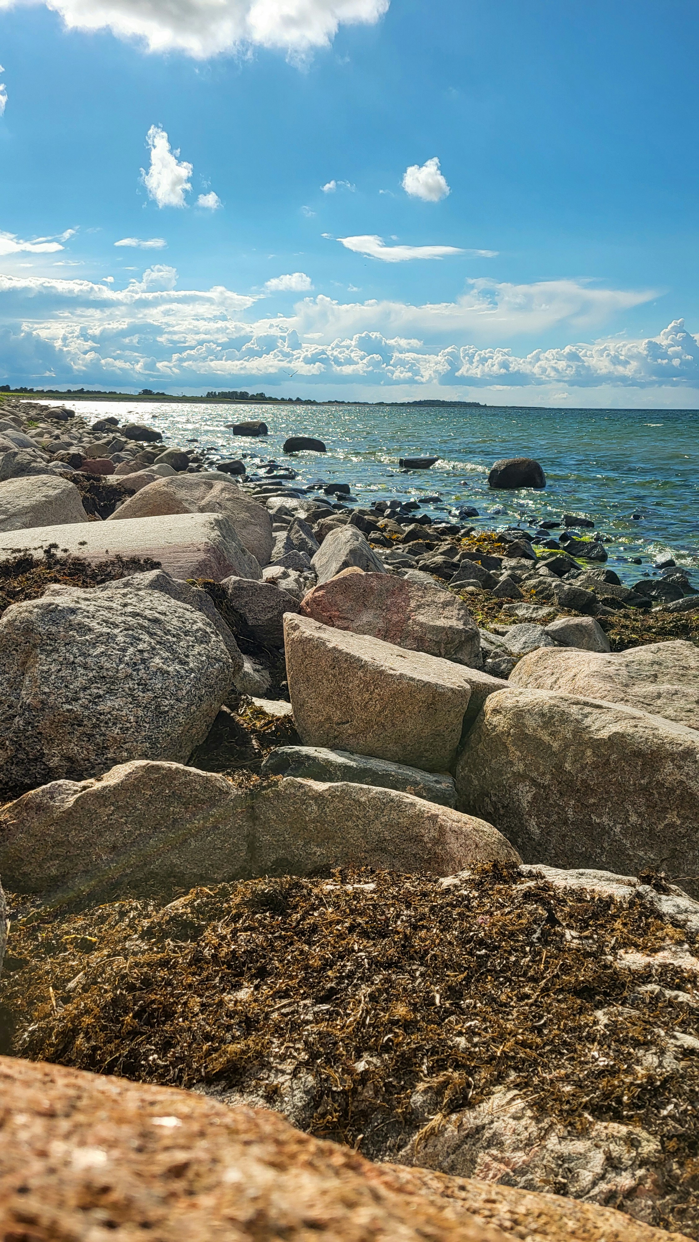 A rocky beach with a body of water in the background