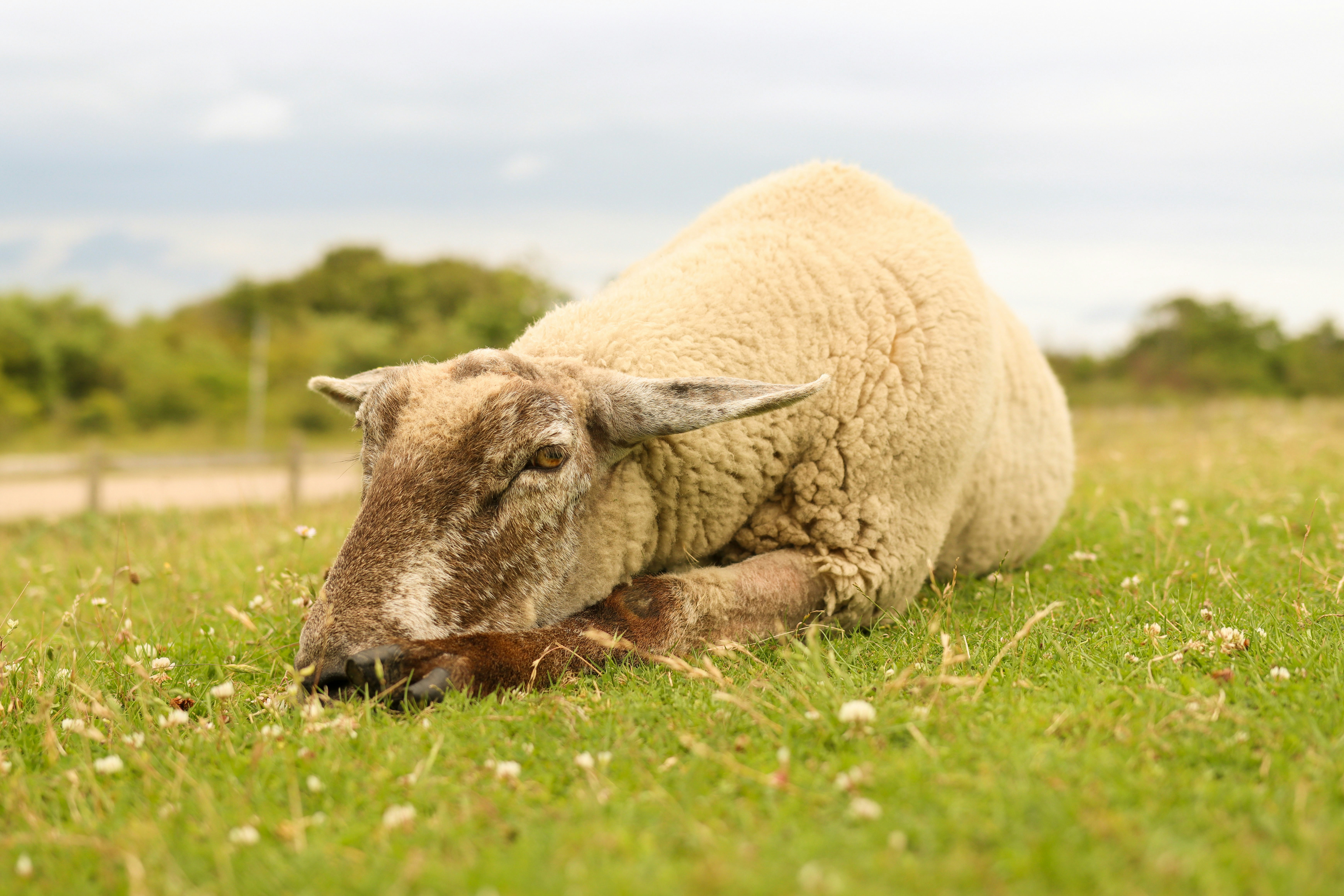 Photo by larsportjanow