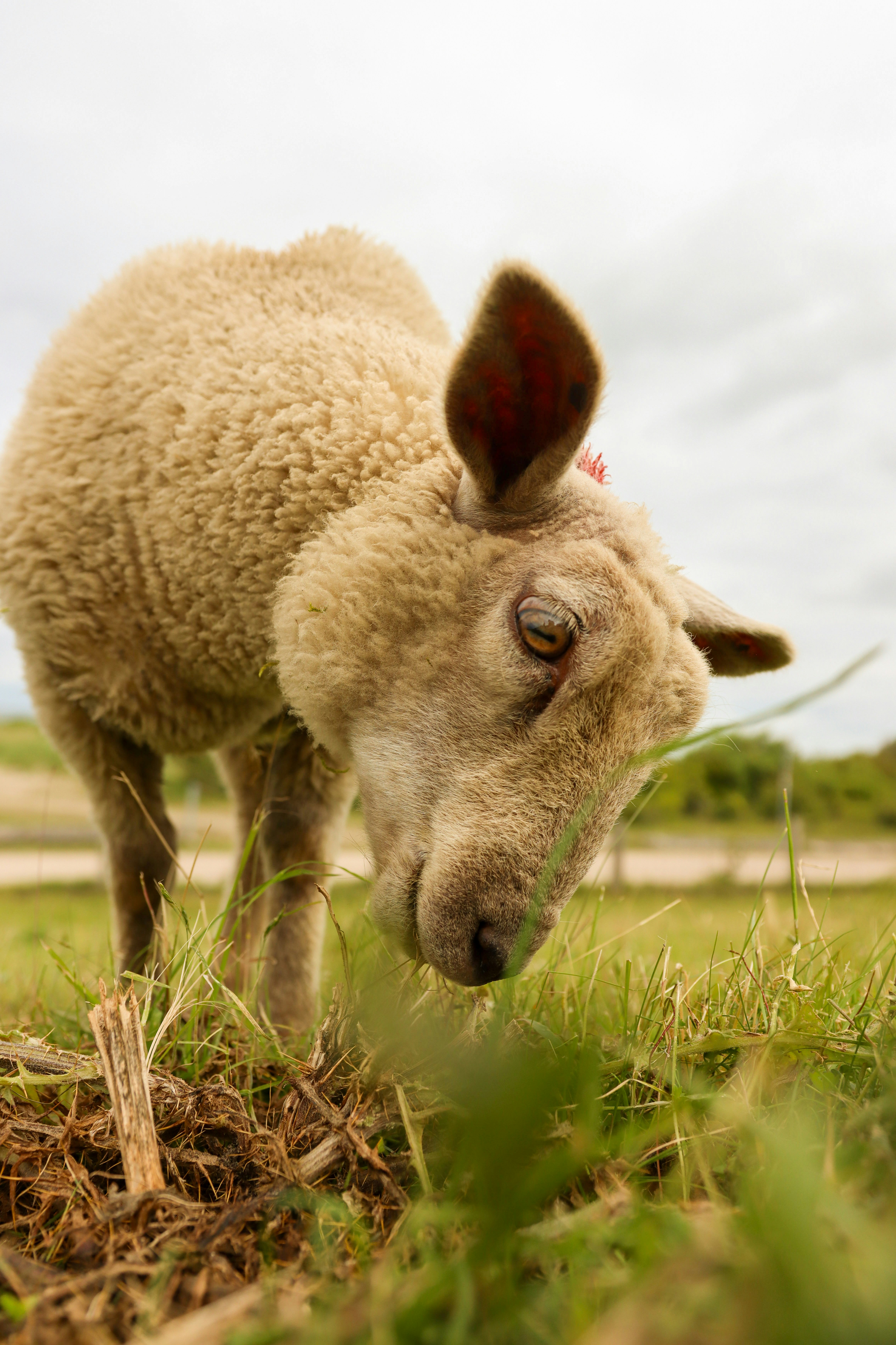 Photo by larsportjanow