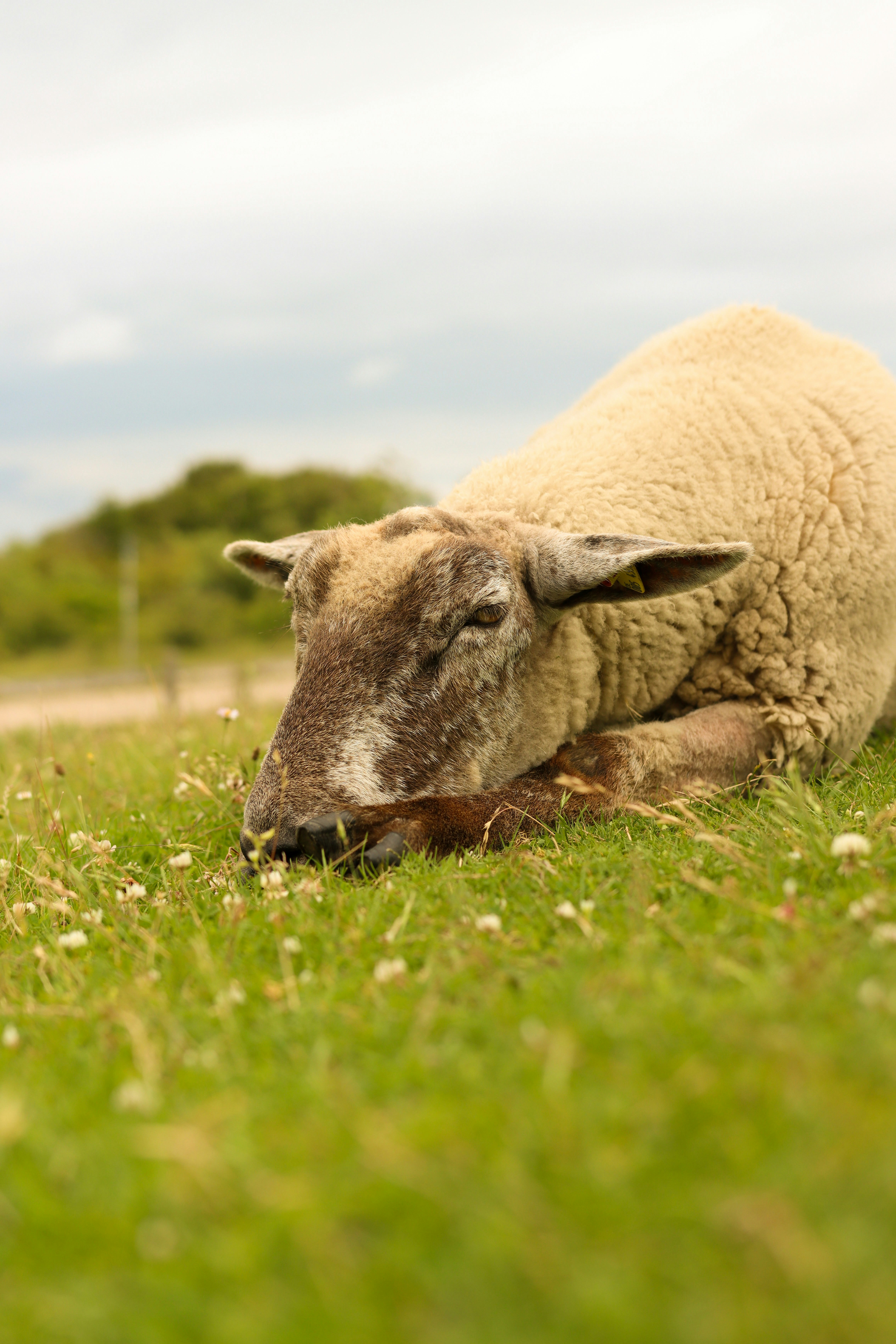 Photo by larsportjanow