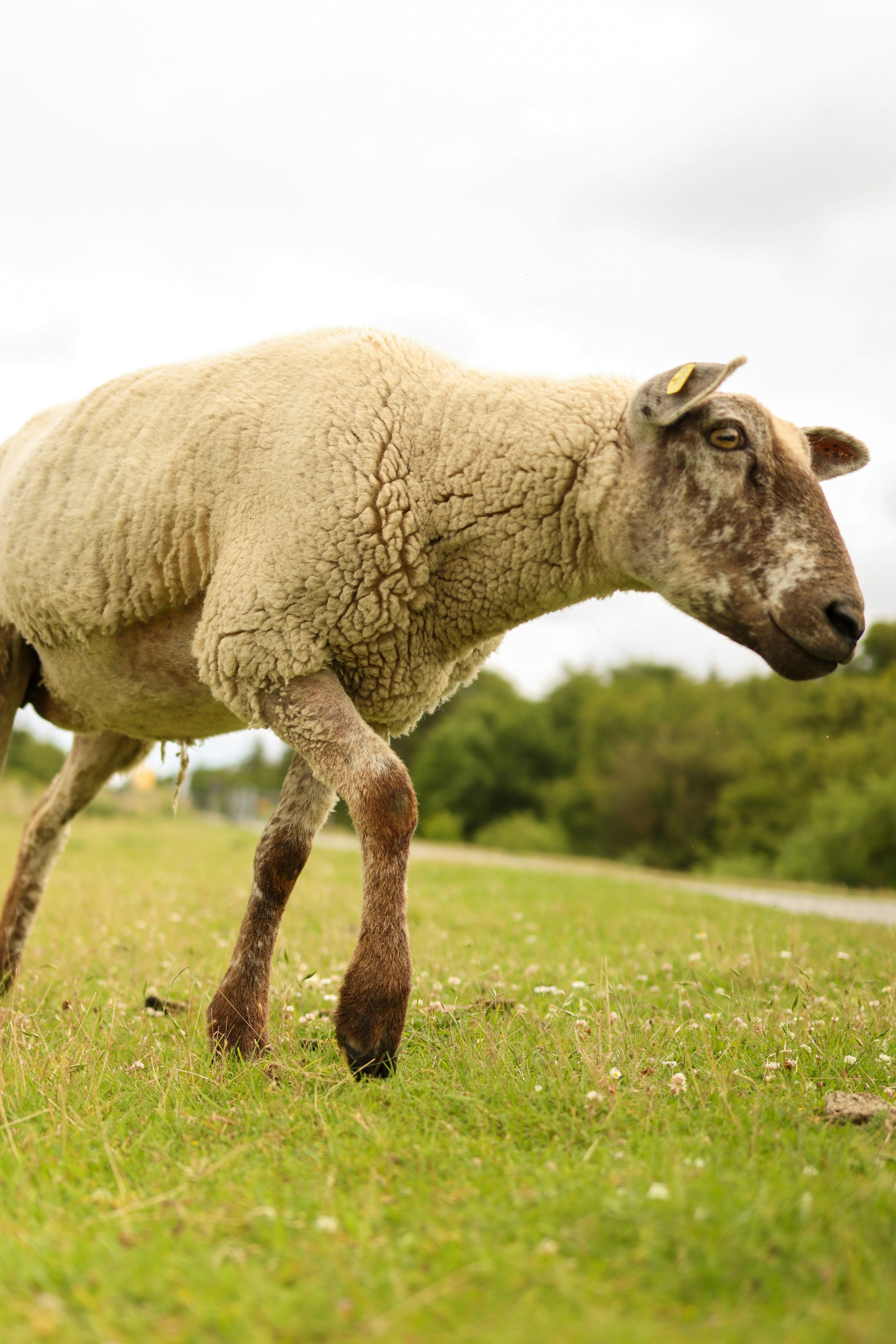 Photo by larsportjanow