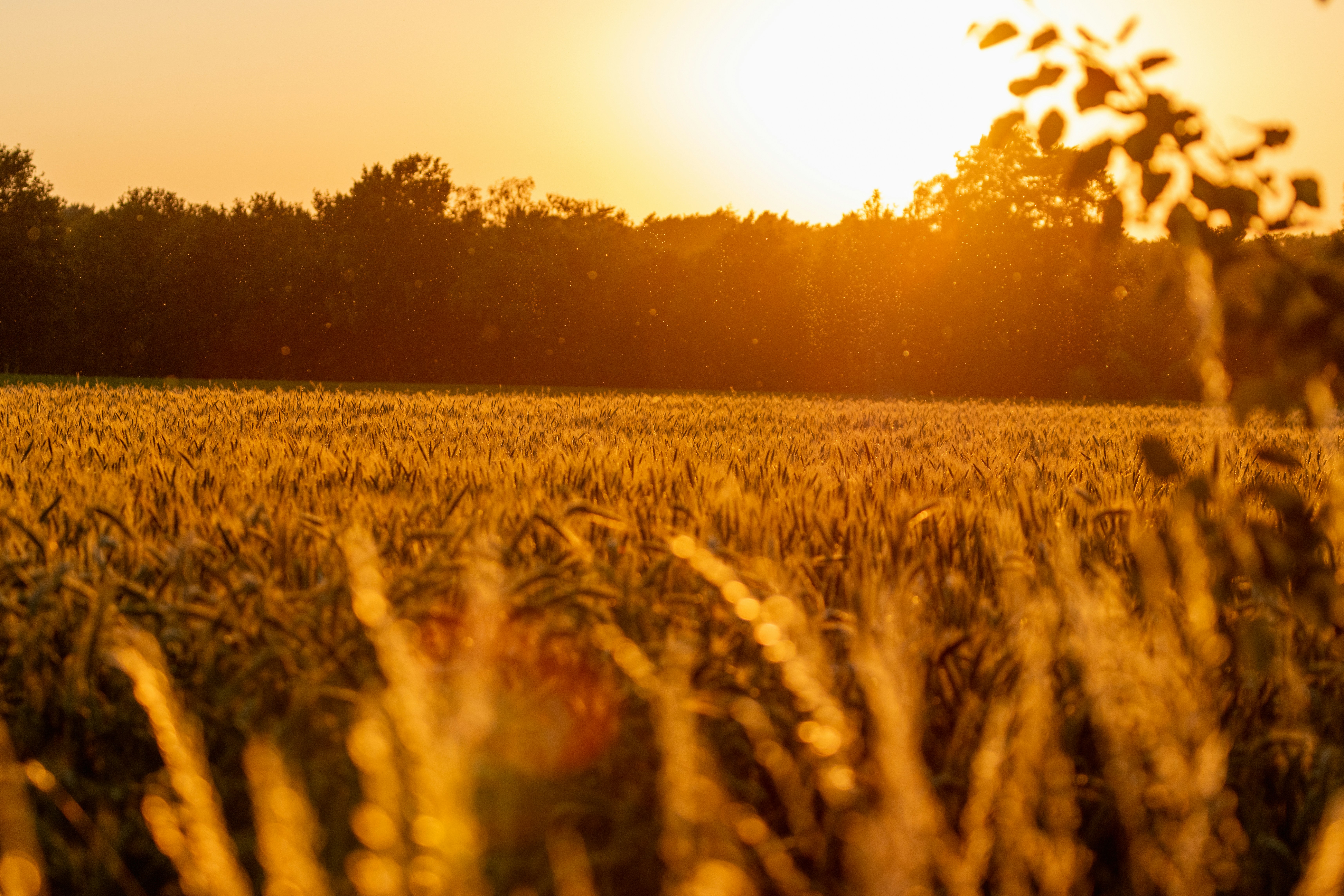 Photo by larsportjanow