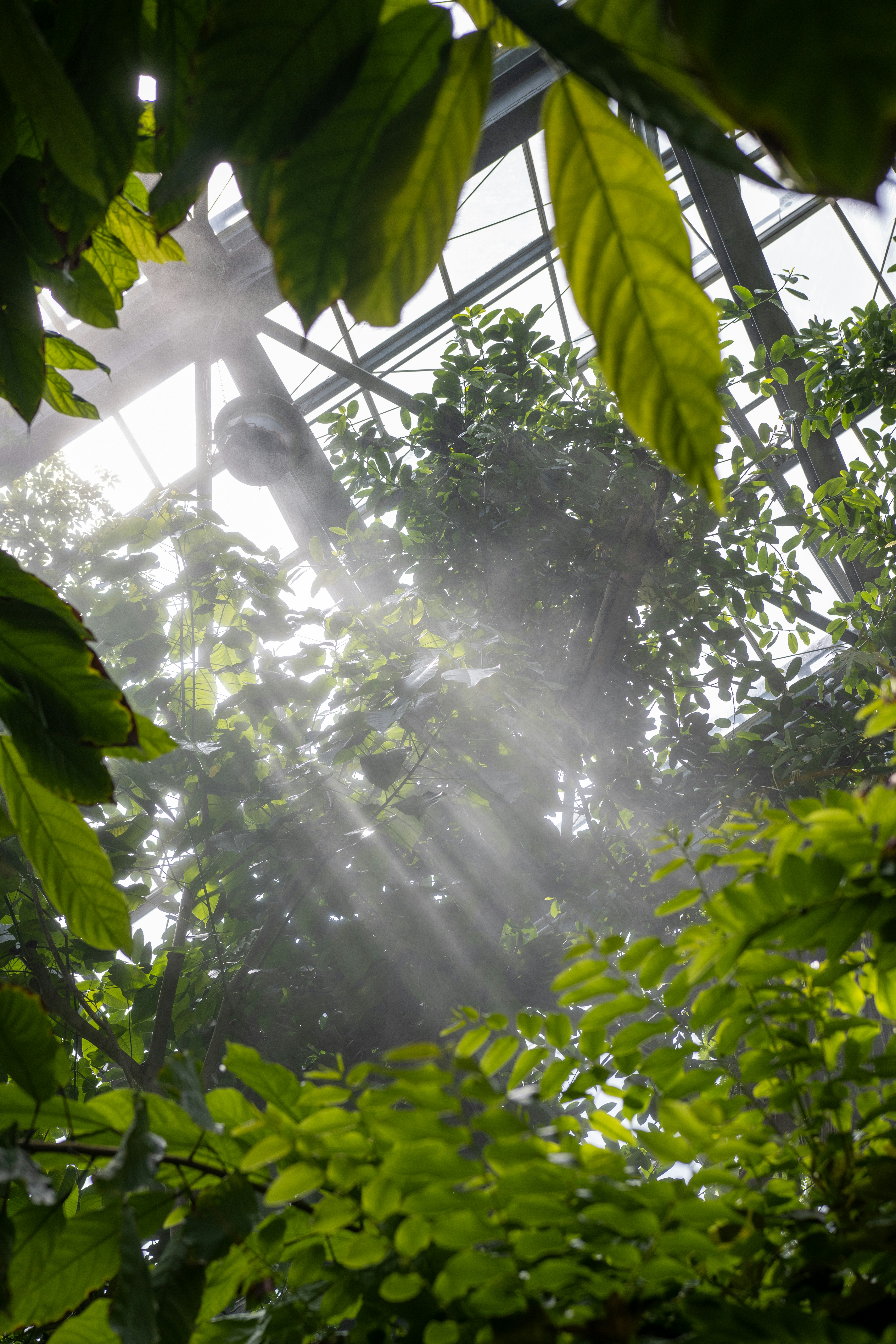 Photo by larsportjanow