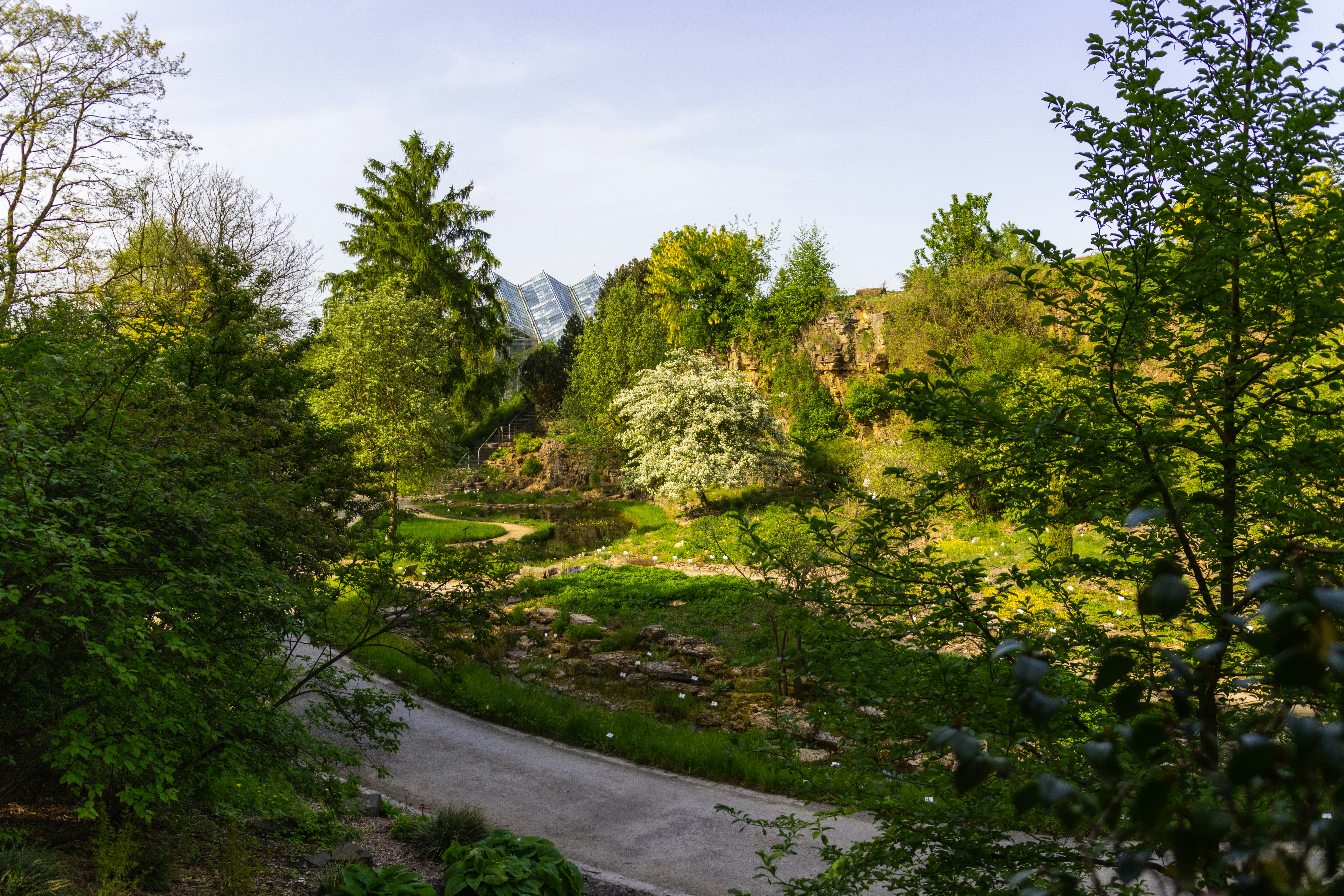 Photo by larsportjanow