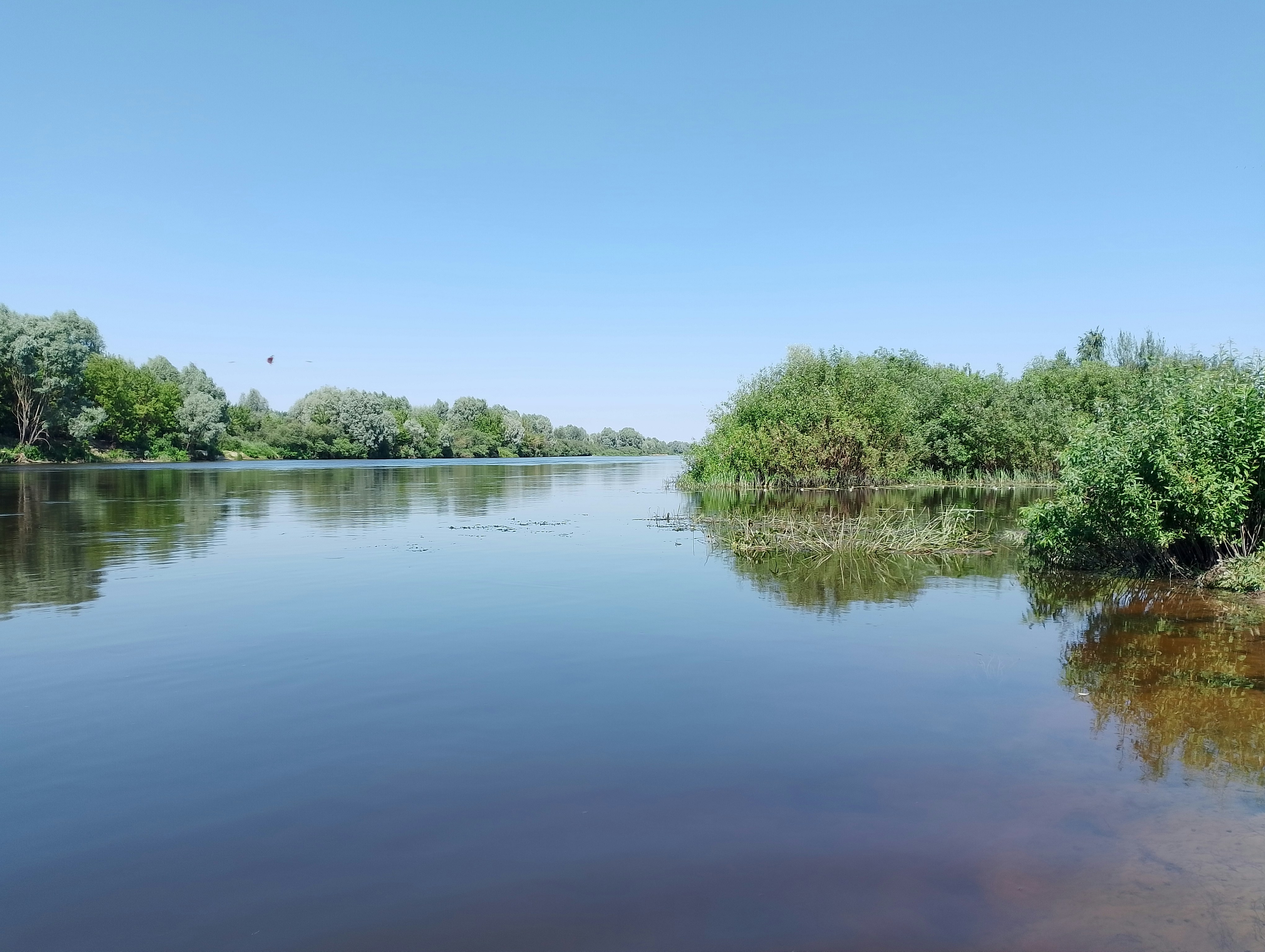 Photo by natallia_kz