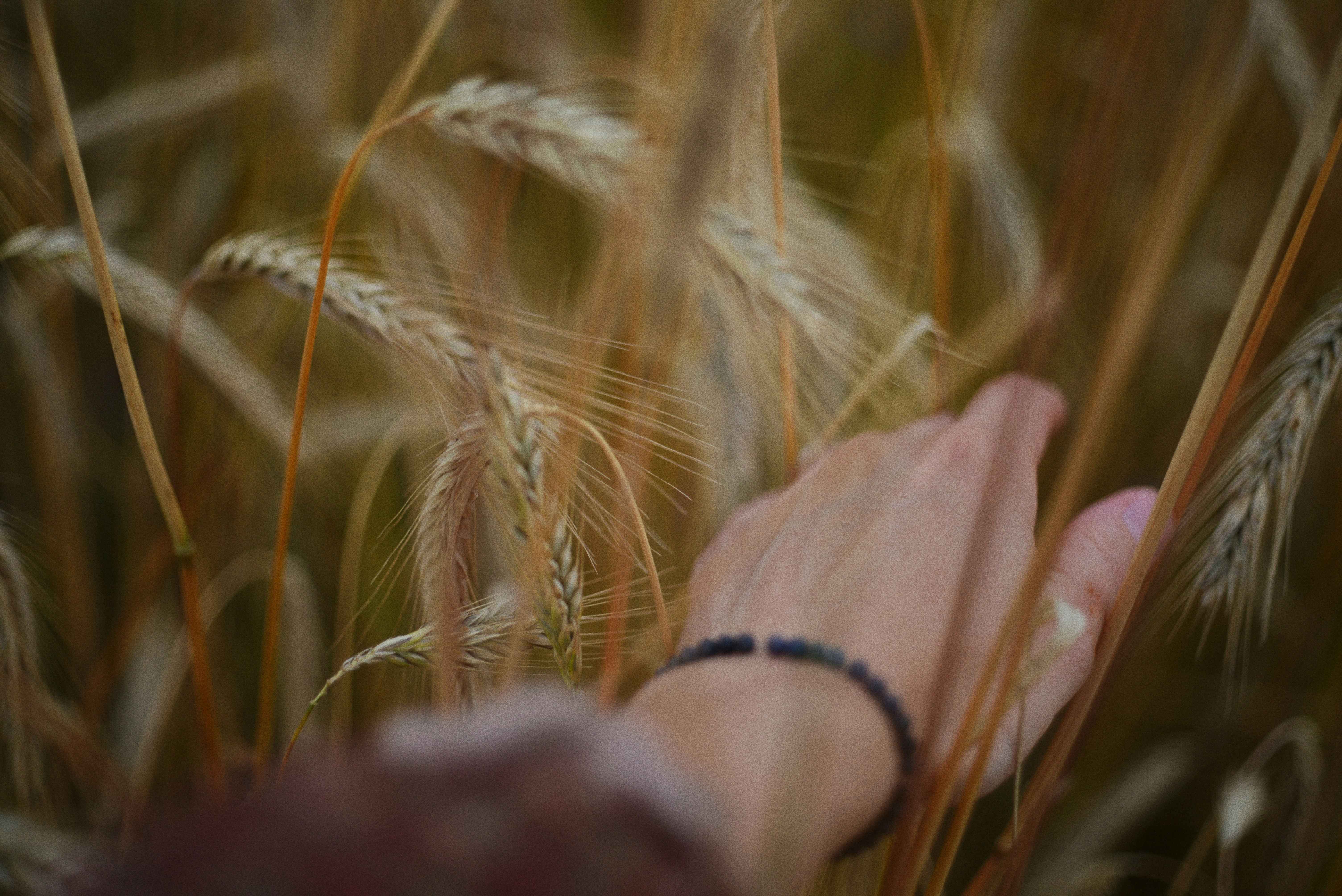 Photo by cherstve_pechivo