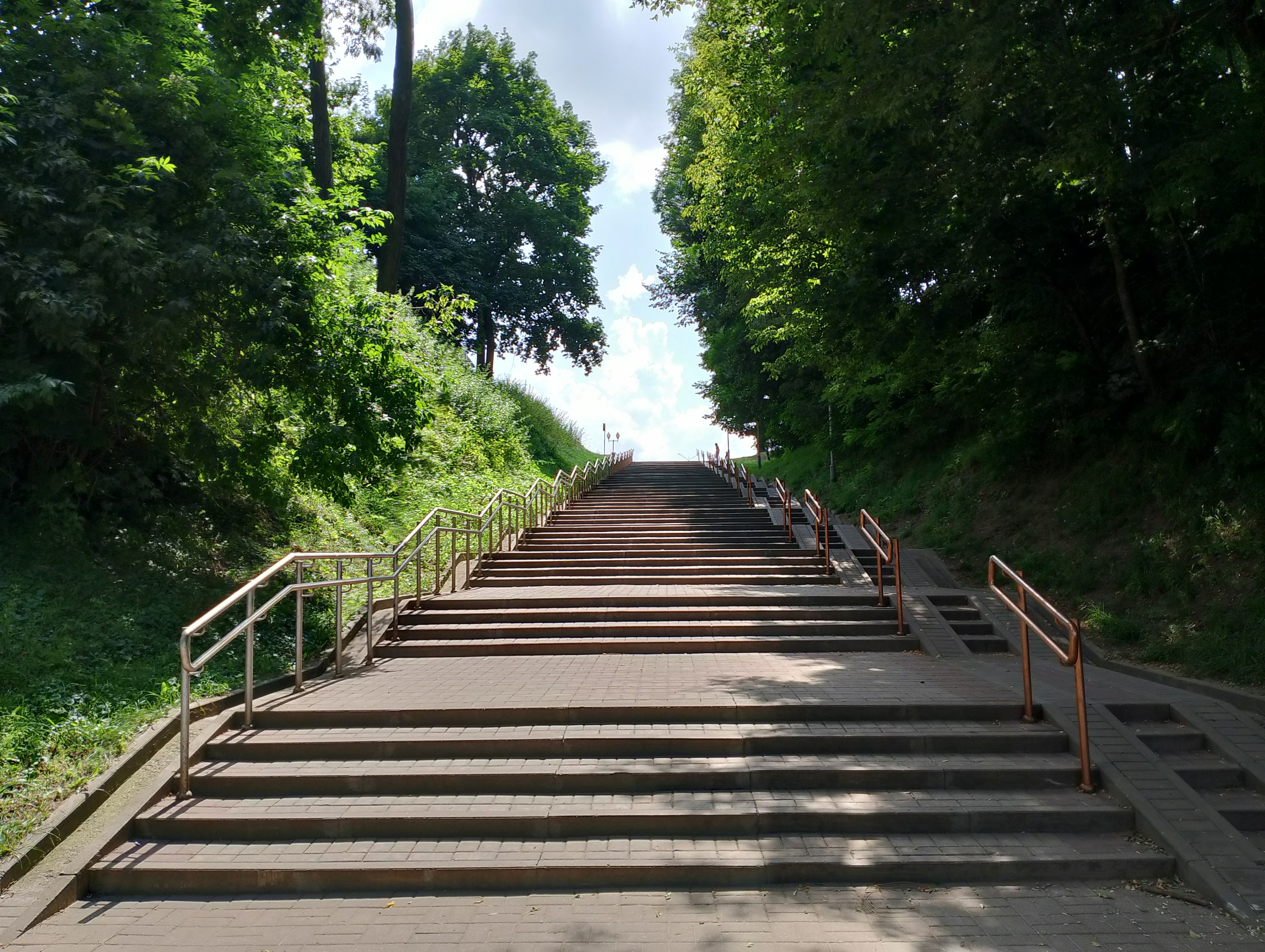 stairs among the trees