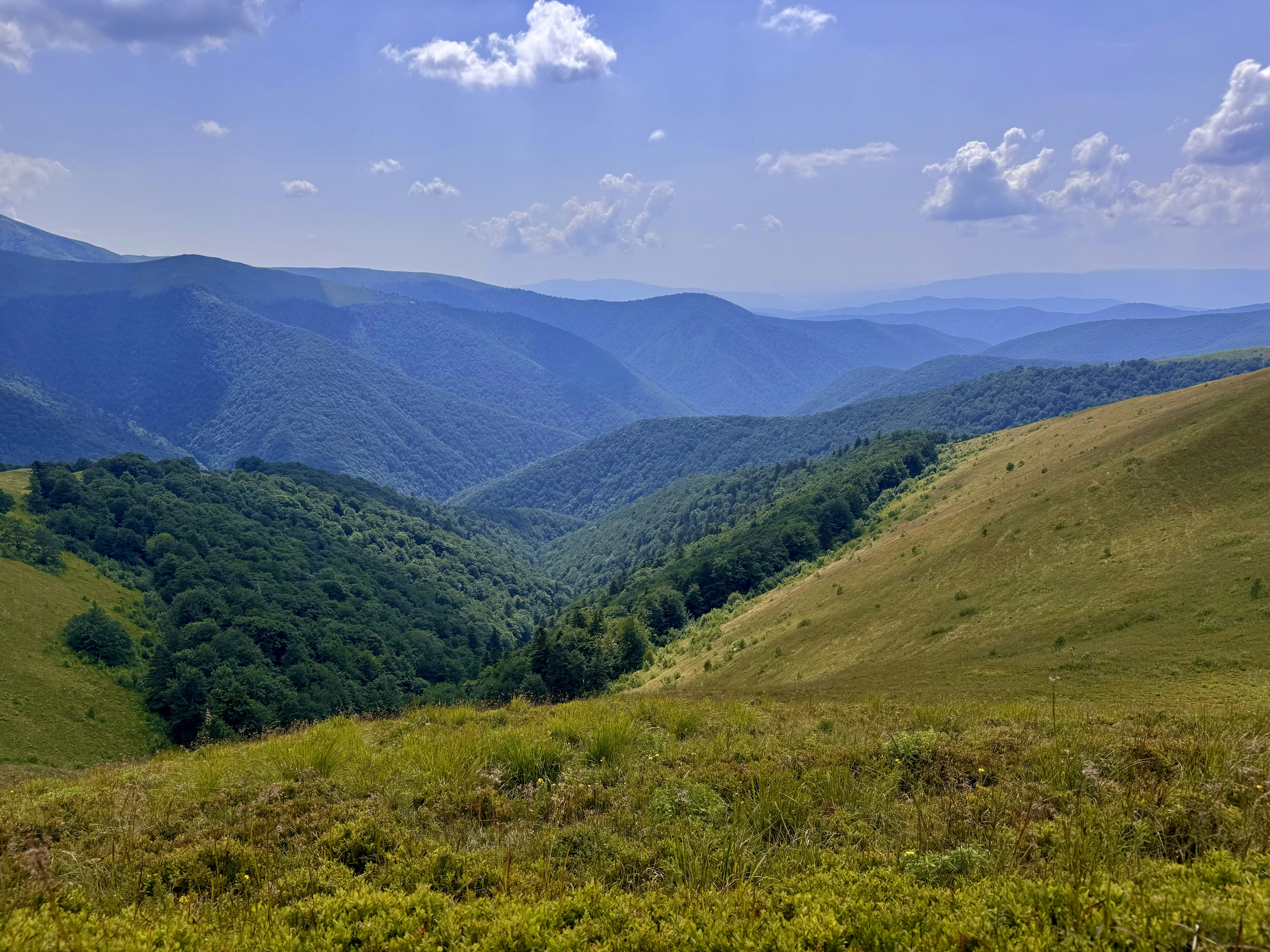 A scenic view of a valley in the mountains