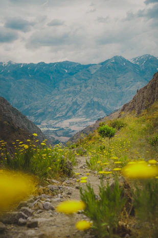 A dirt path with yellow flowers and mountains in the background