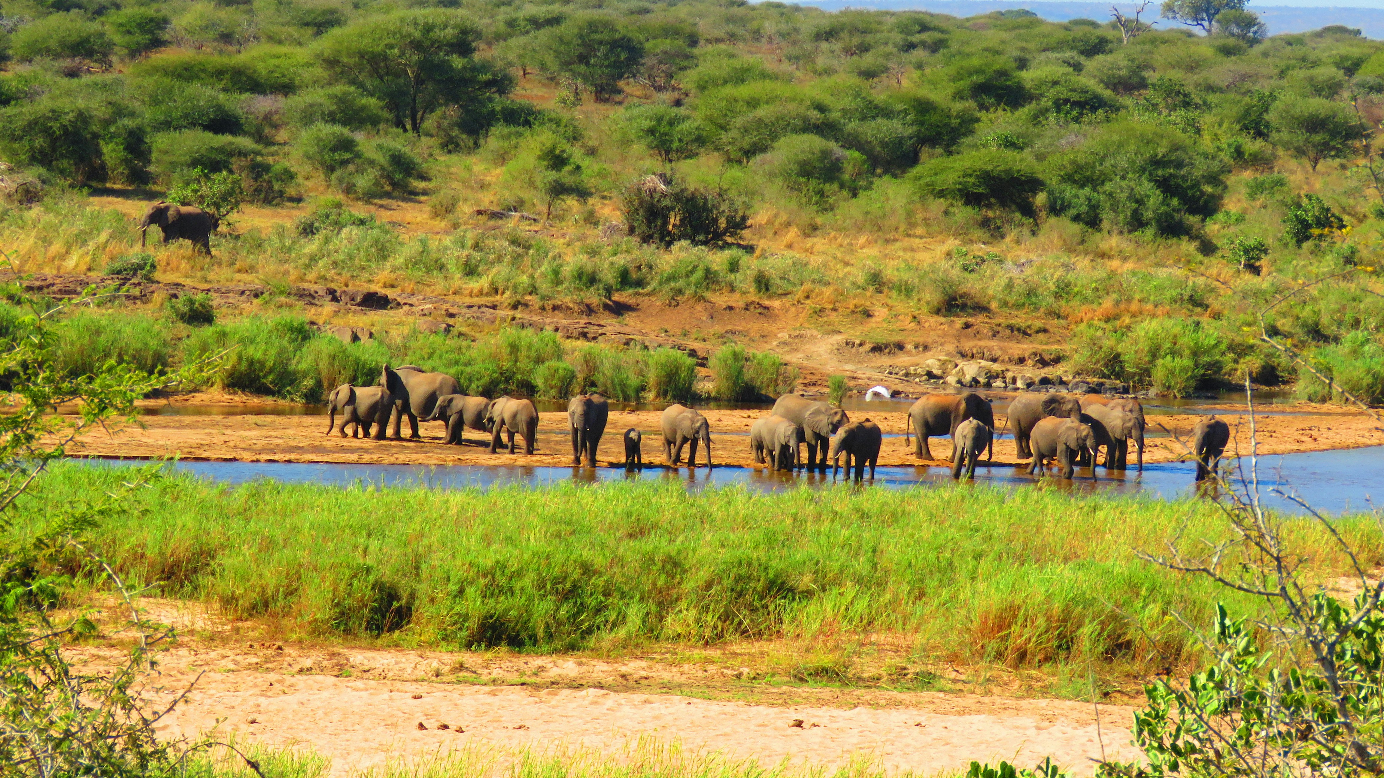 Parsa Wildlife Reserve Jeep Safari