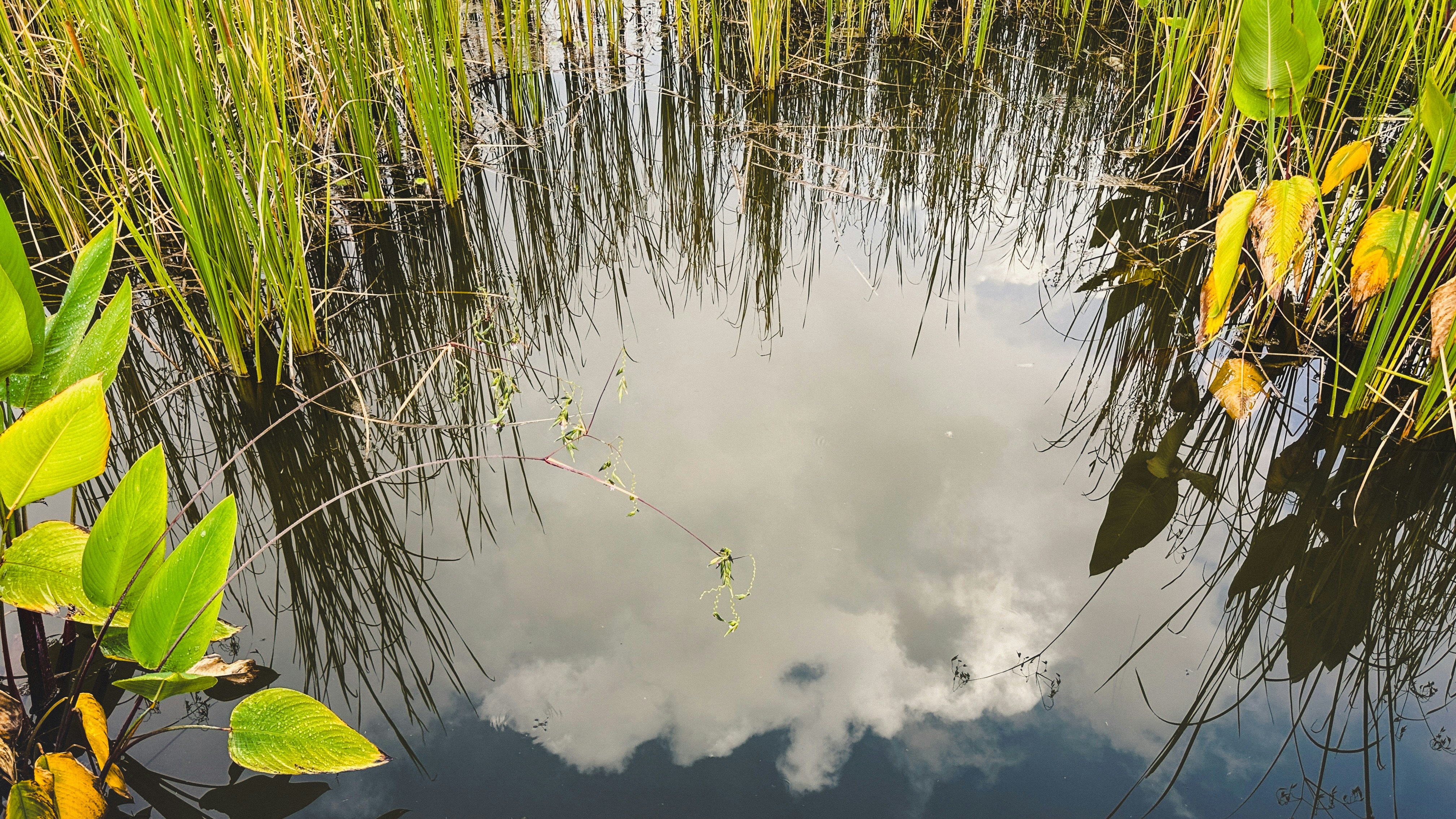 Photo by dickenslin76