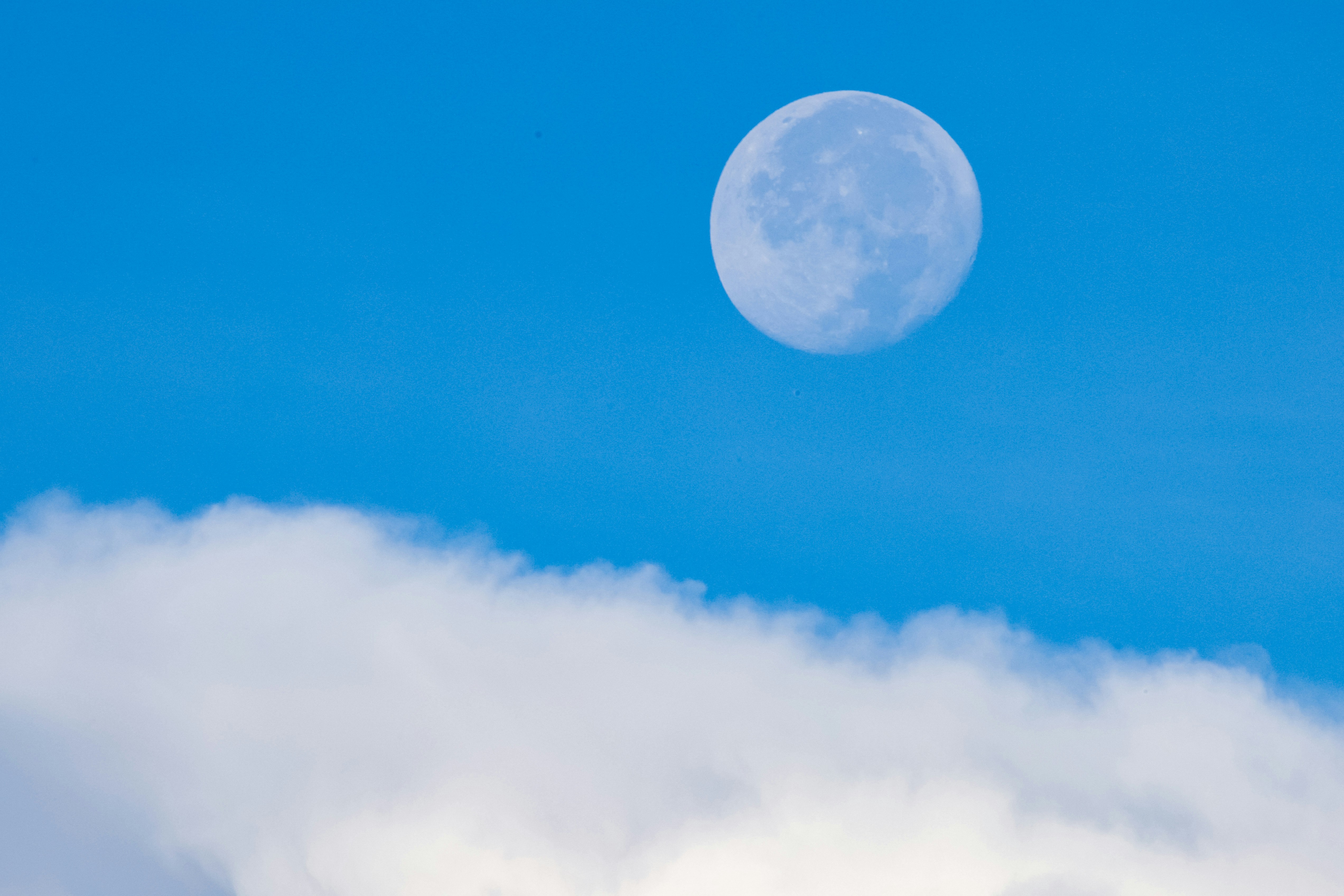 Photo by dickenslin76