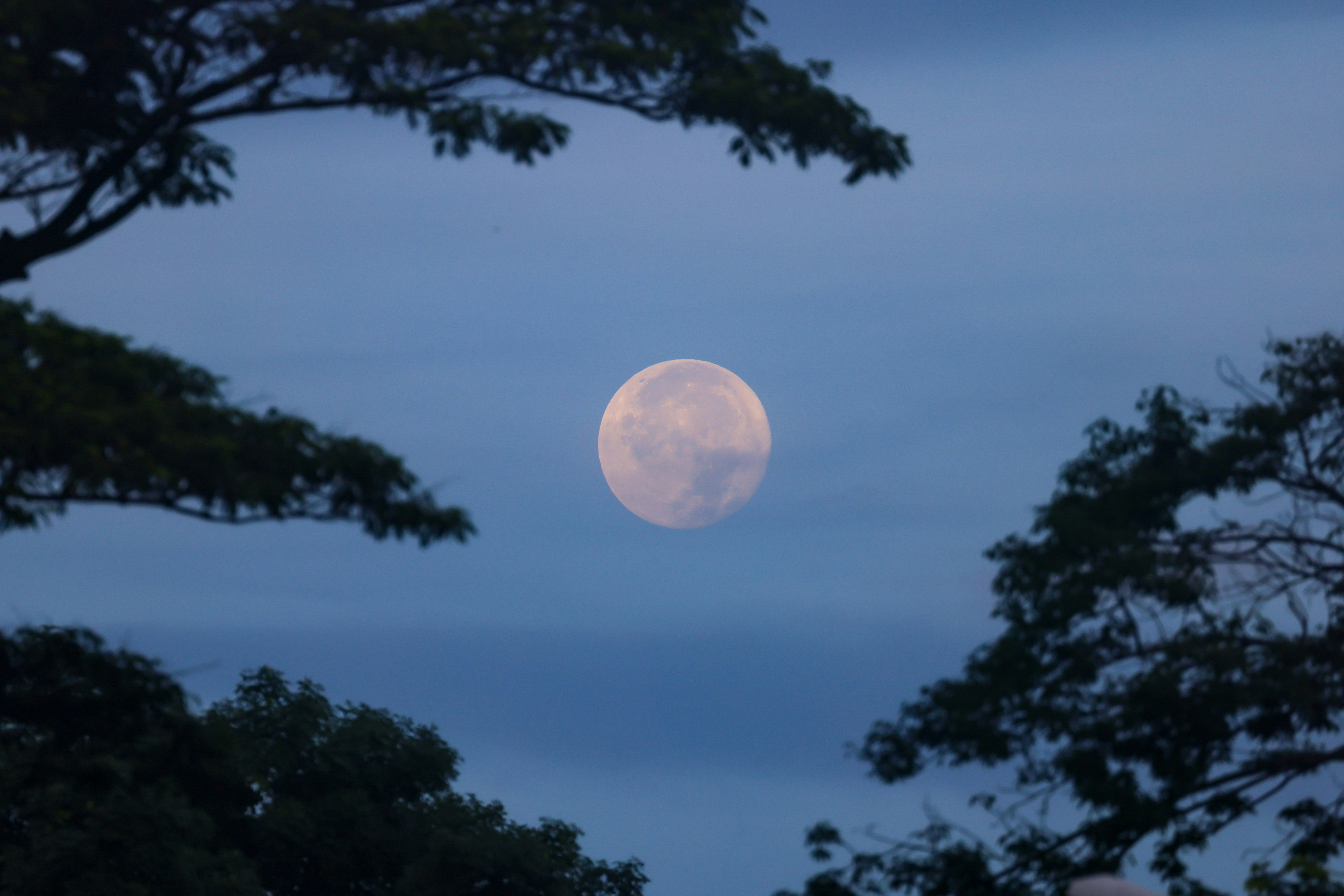 5 Lunar Astrology Insights for Waning Moon Reflection
