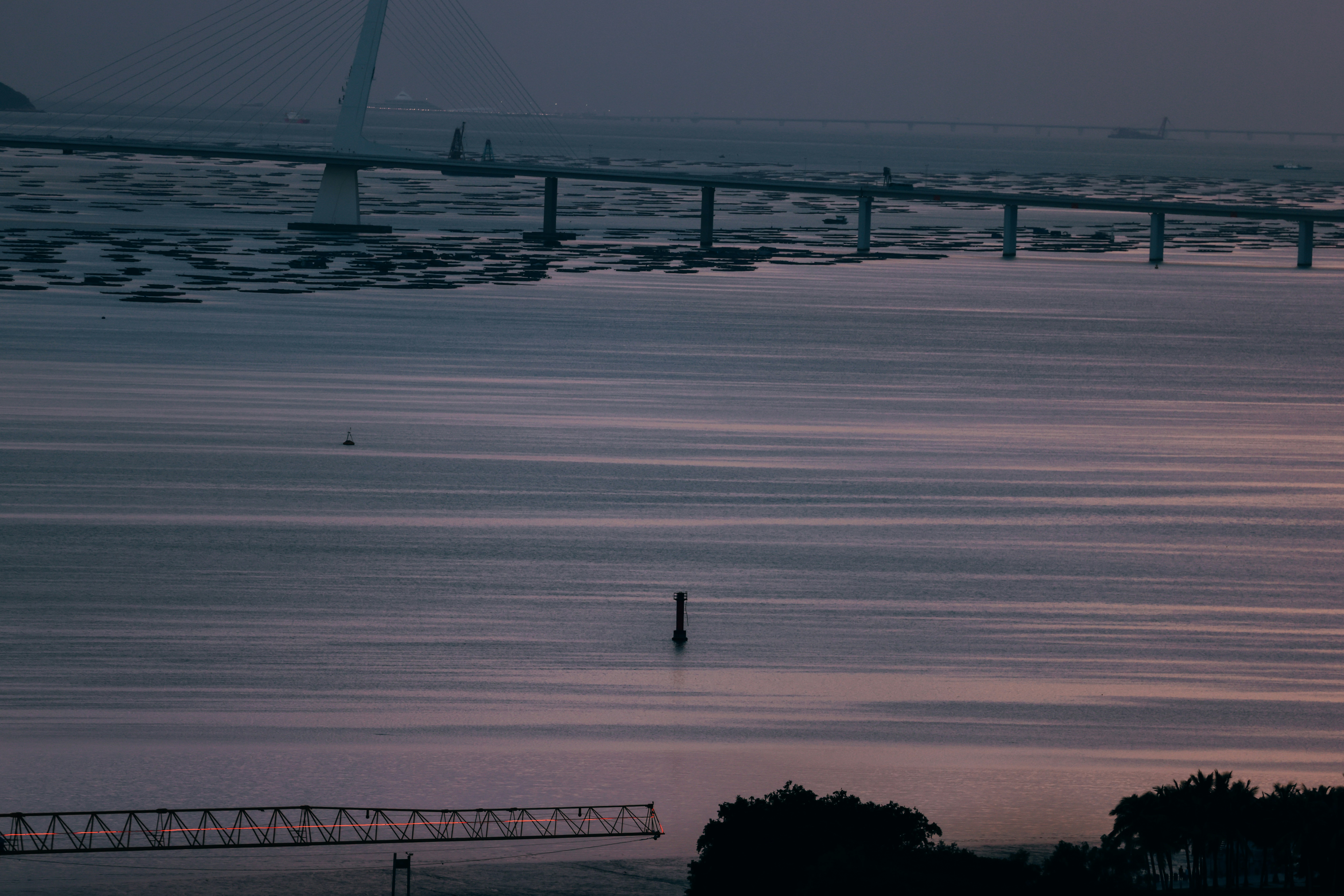 Photo by dickenslin76
