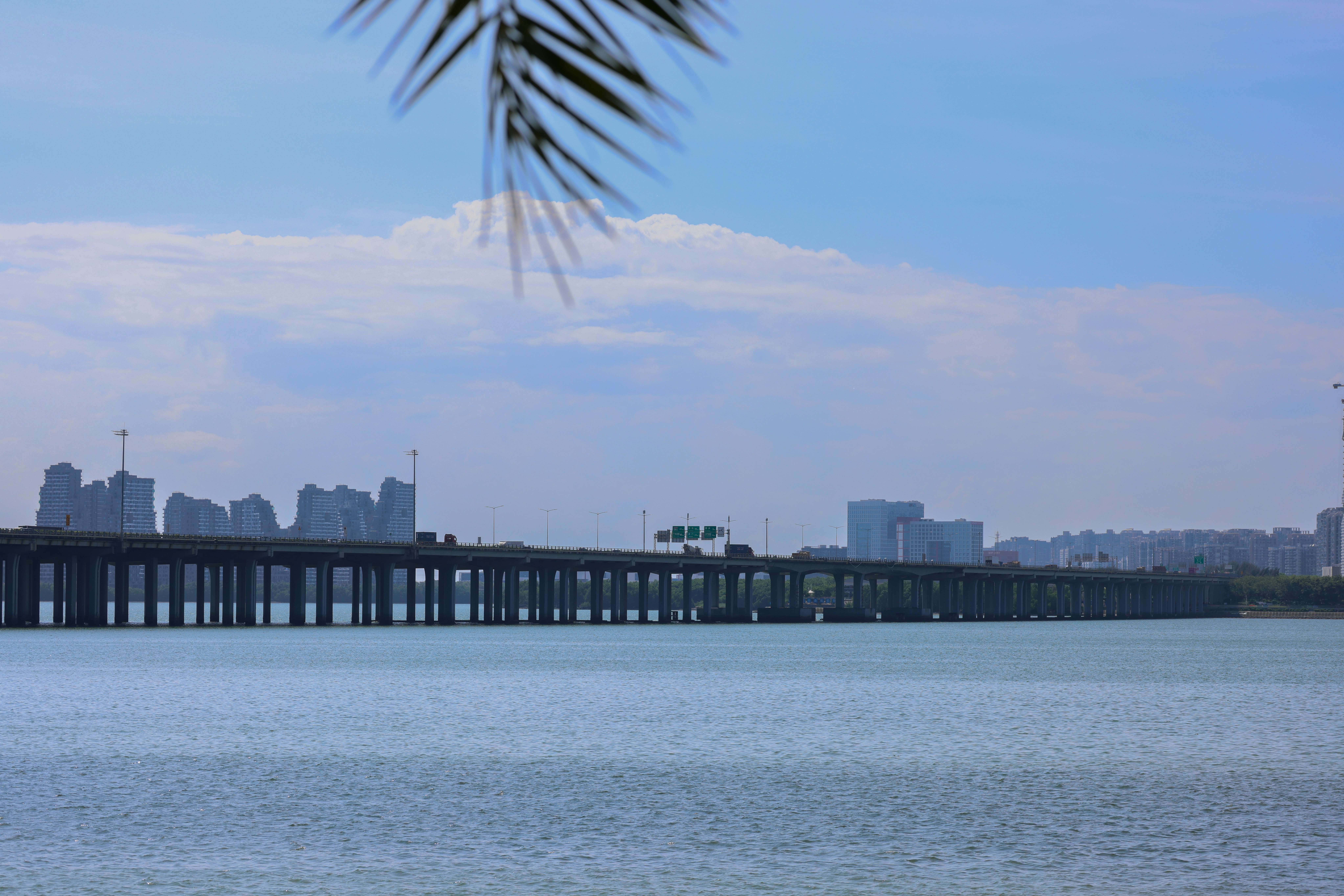 Photo by dickenslin76