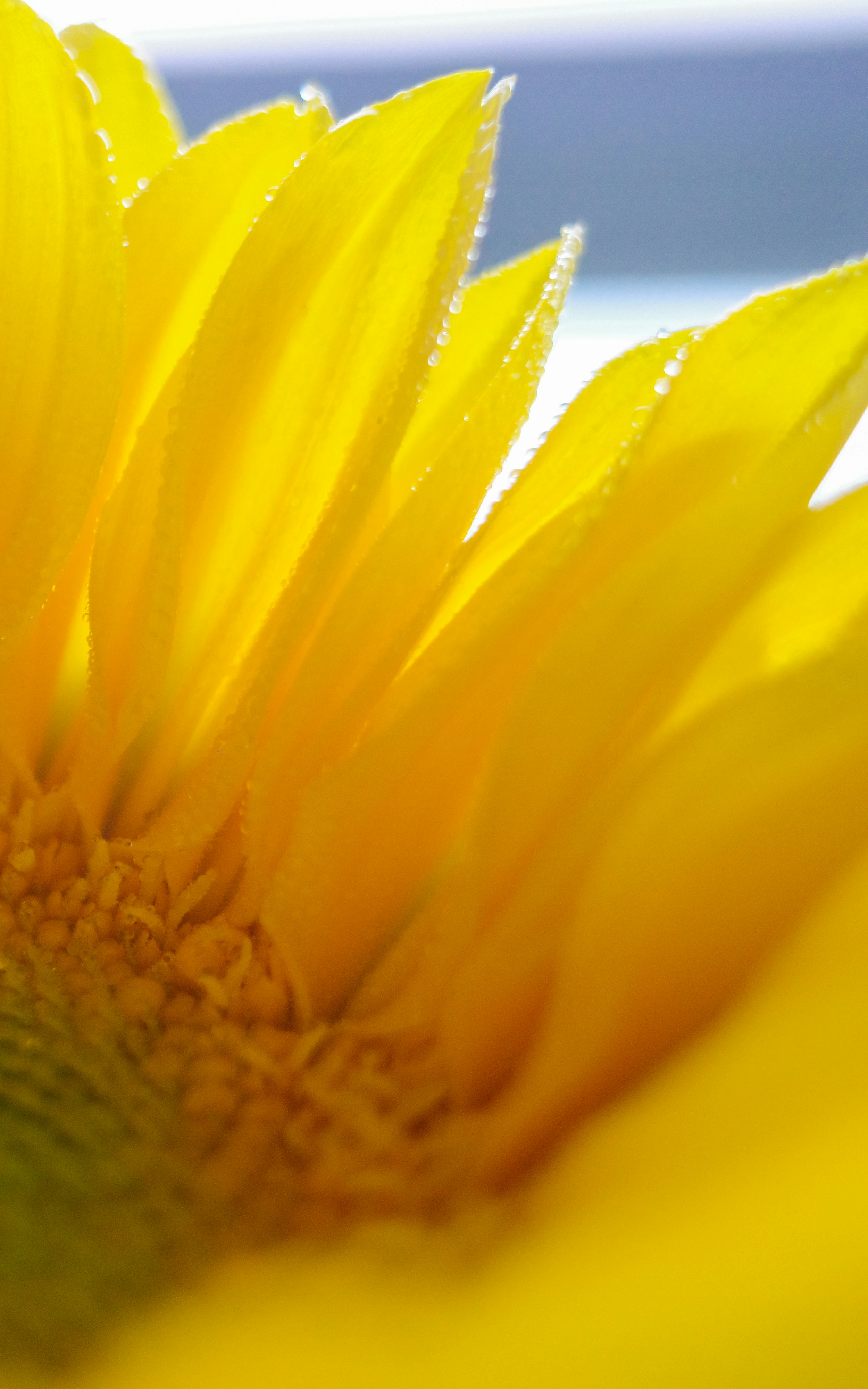 Photo by dickenslin76