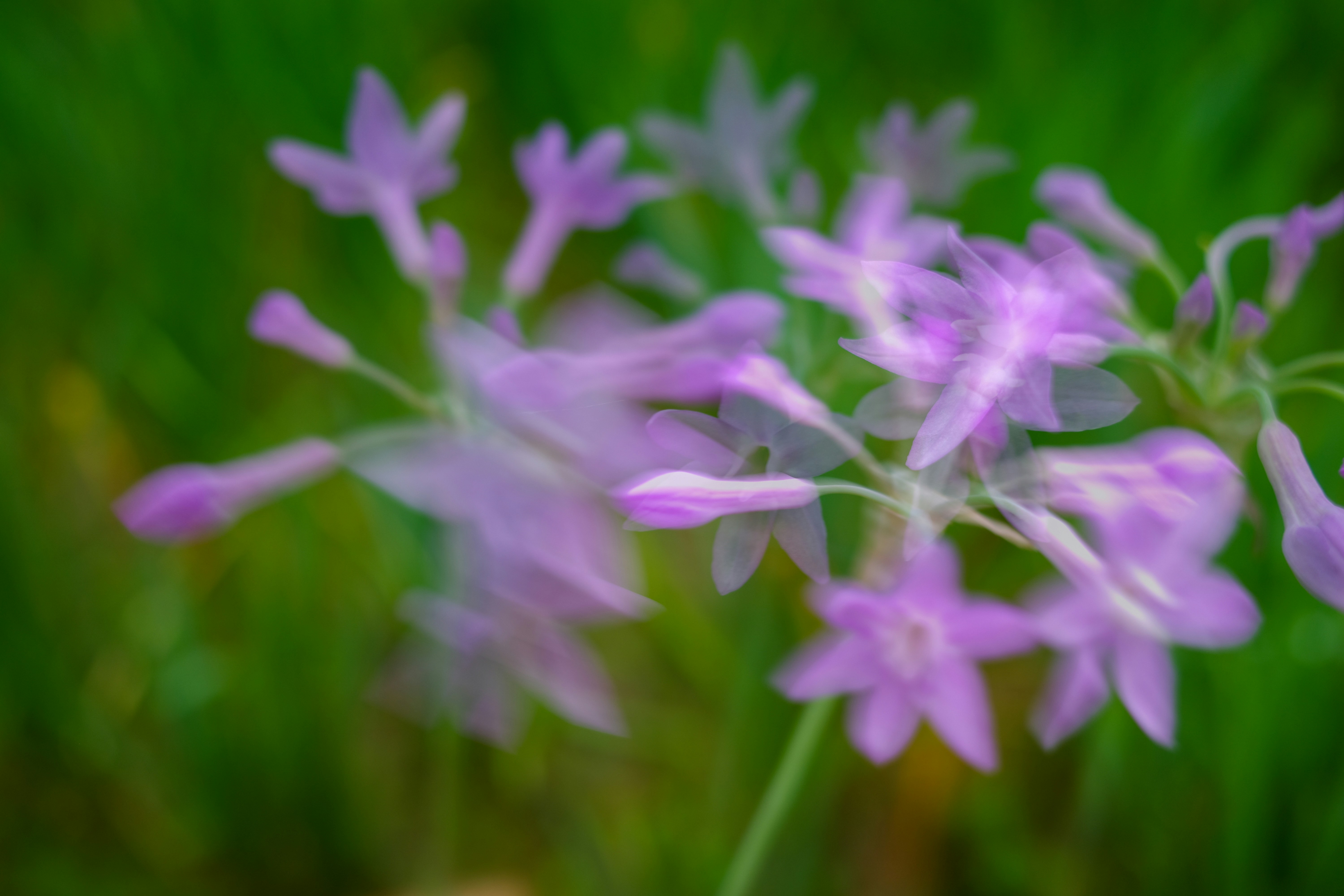 Photo by dickenslin76