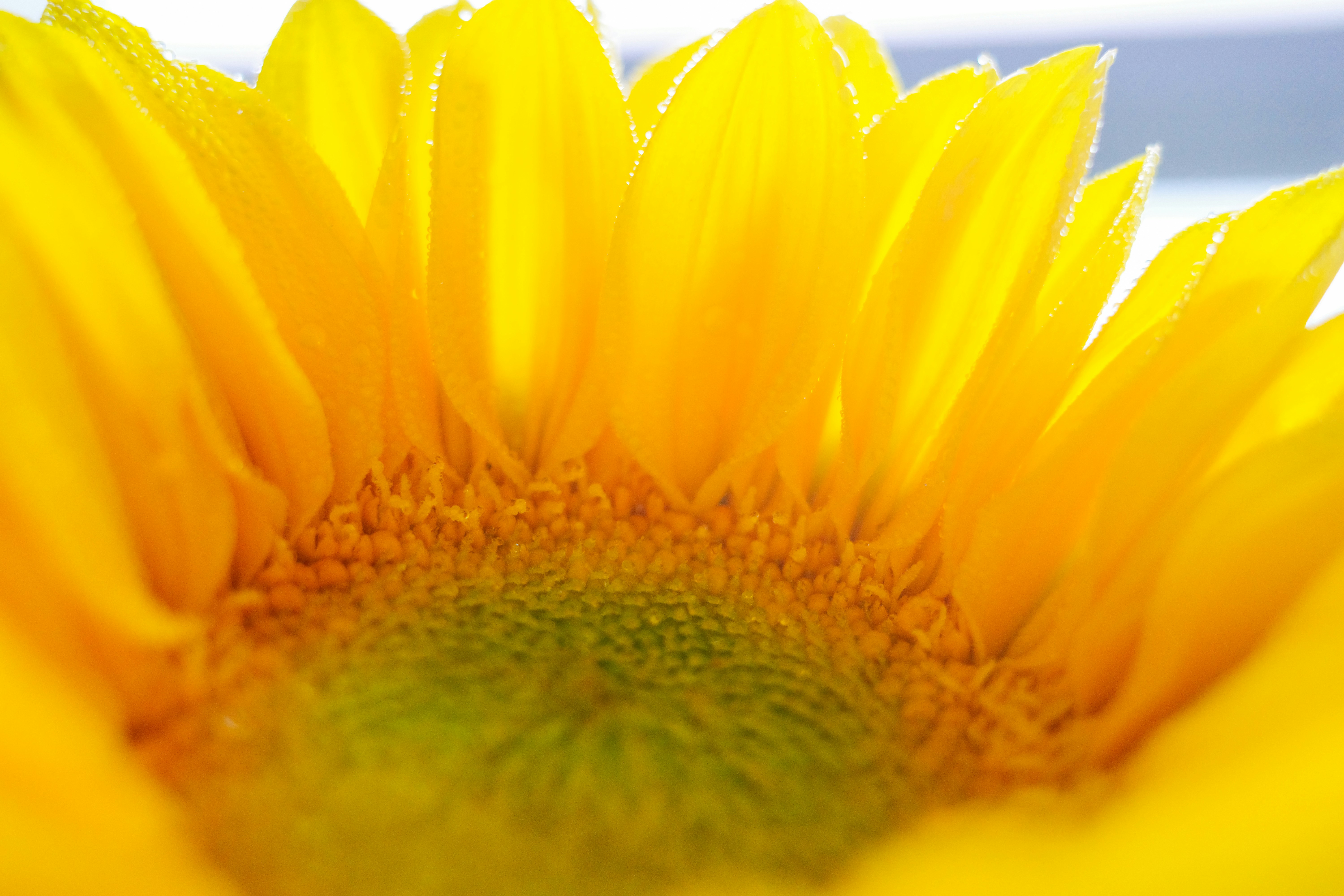 Photo by dickenslin76