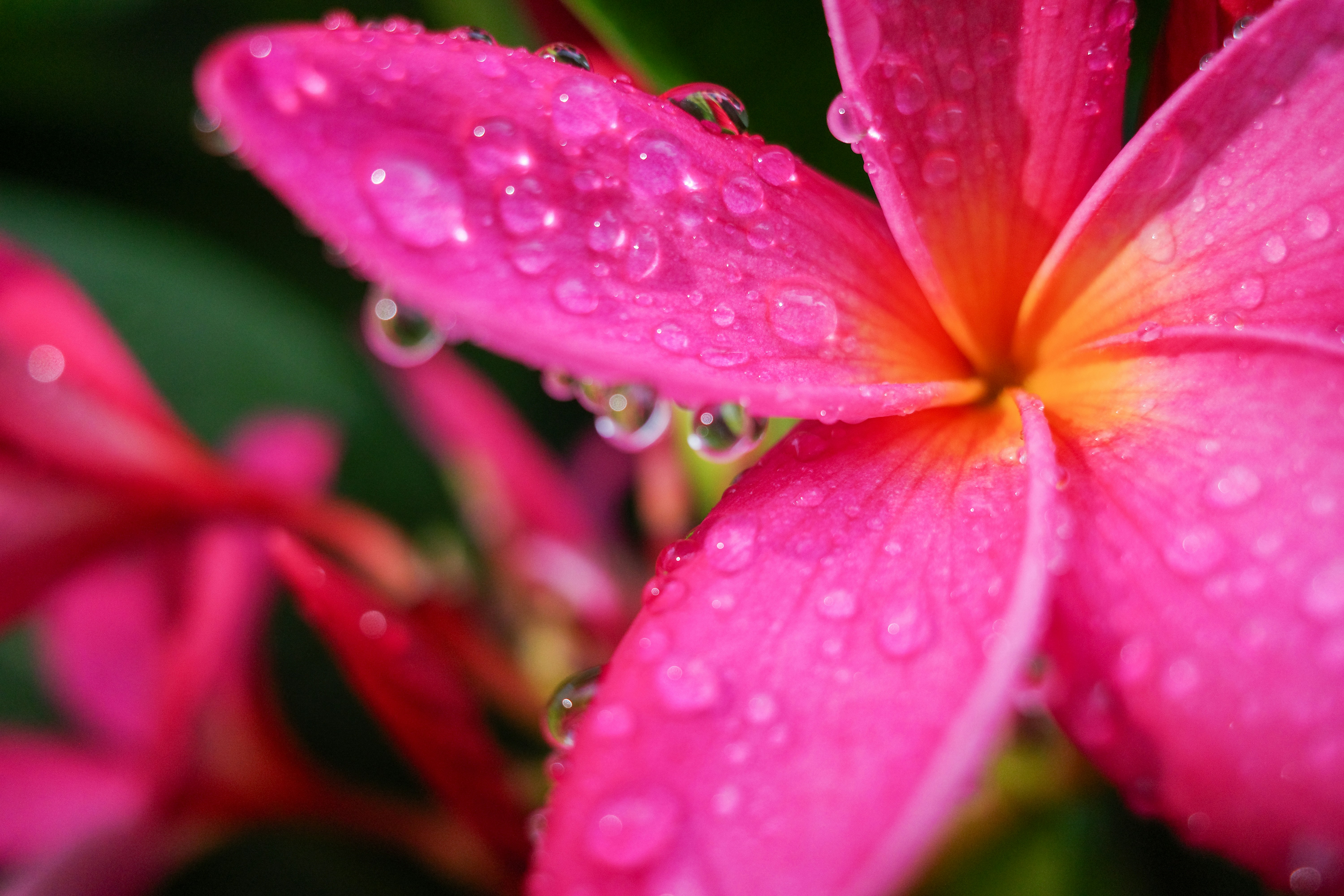 Photo by dickenslin76