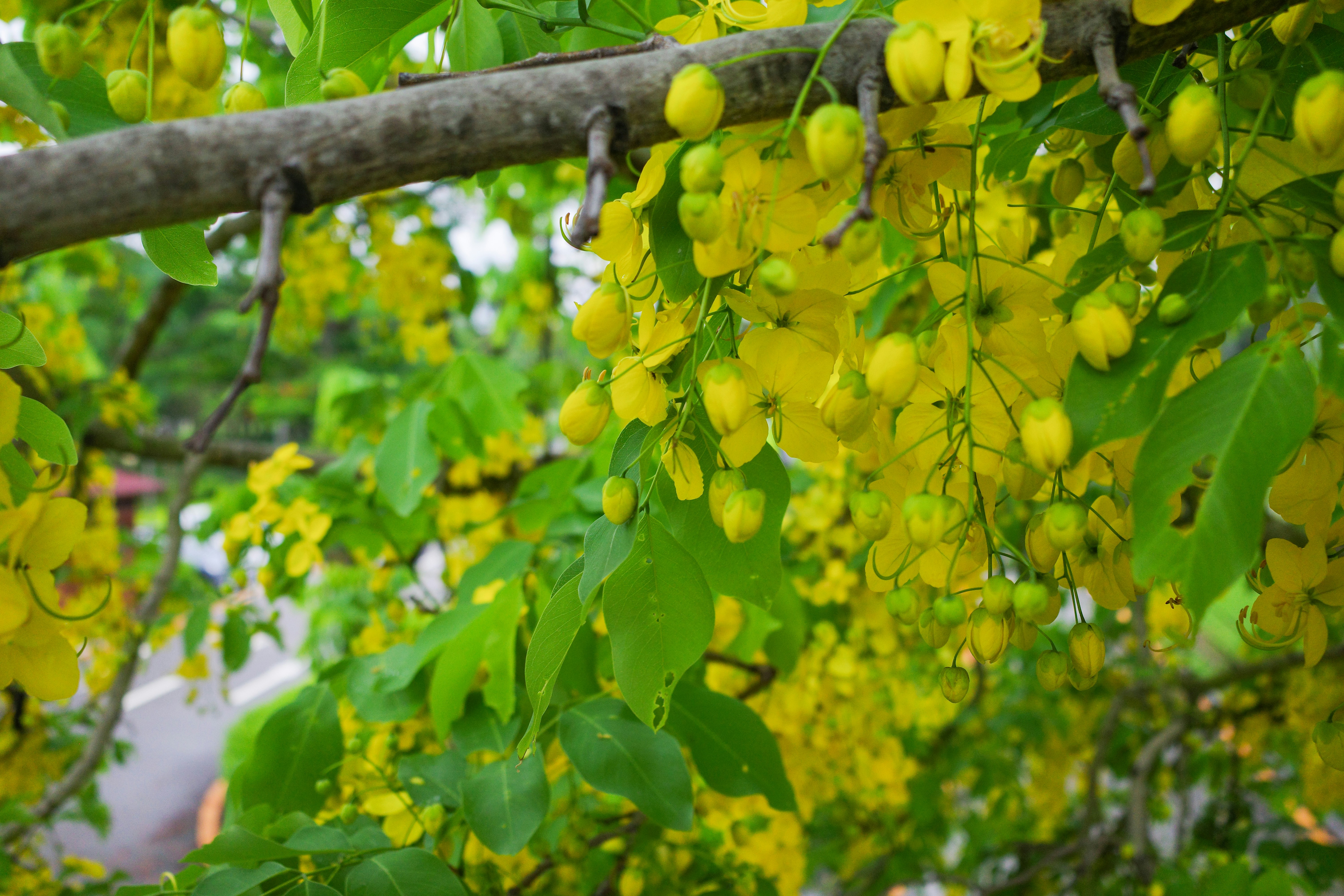 Photo by dickenslin76