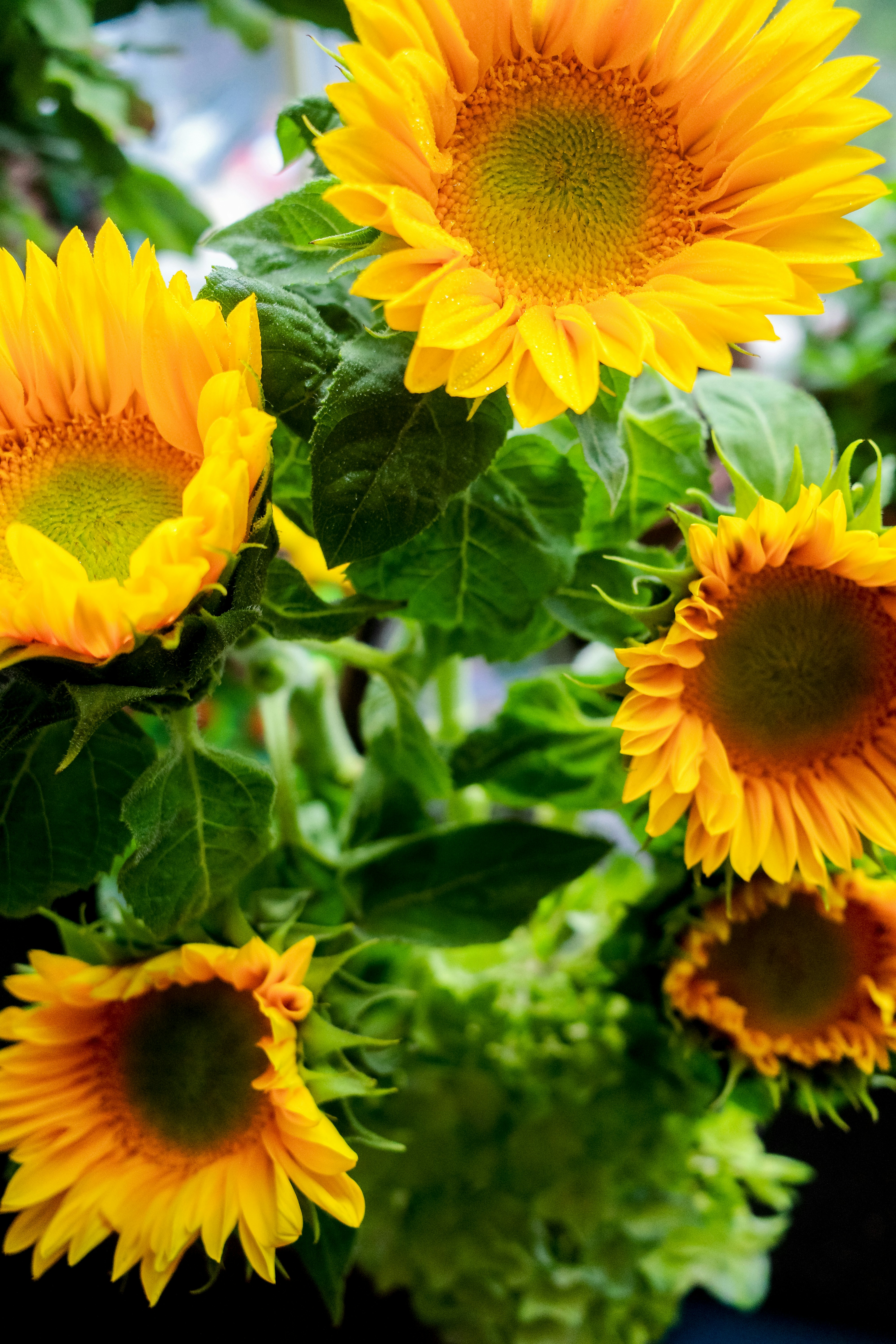 Photo by dickenslin76