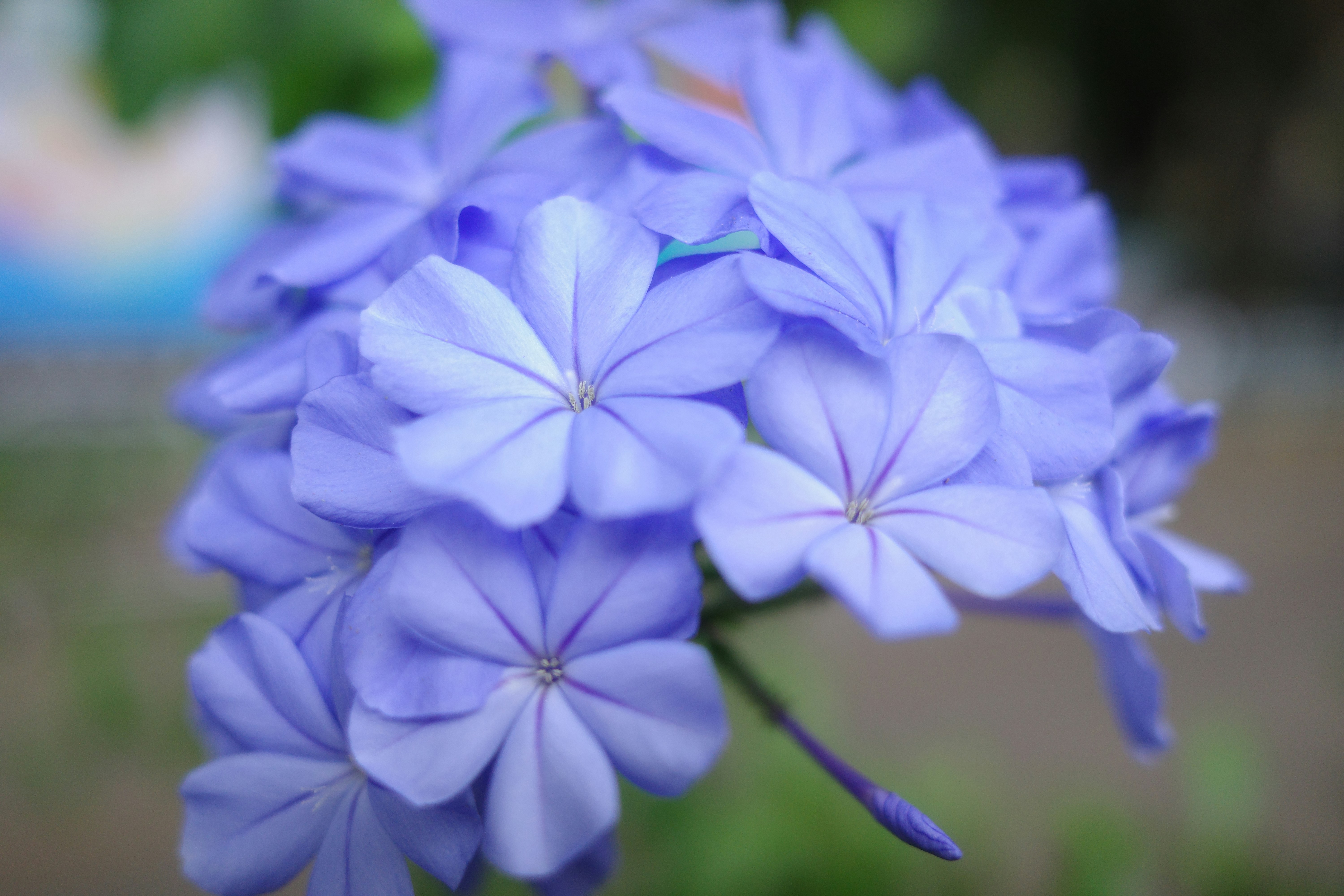 Photo by dickenslin76