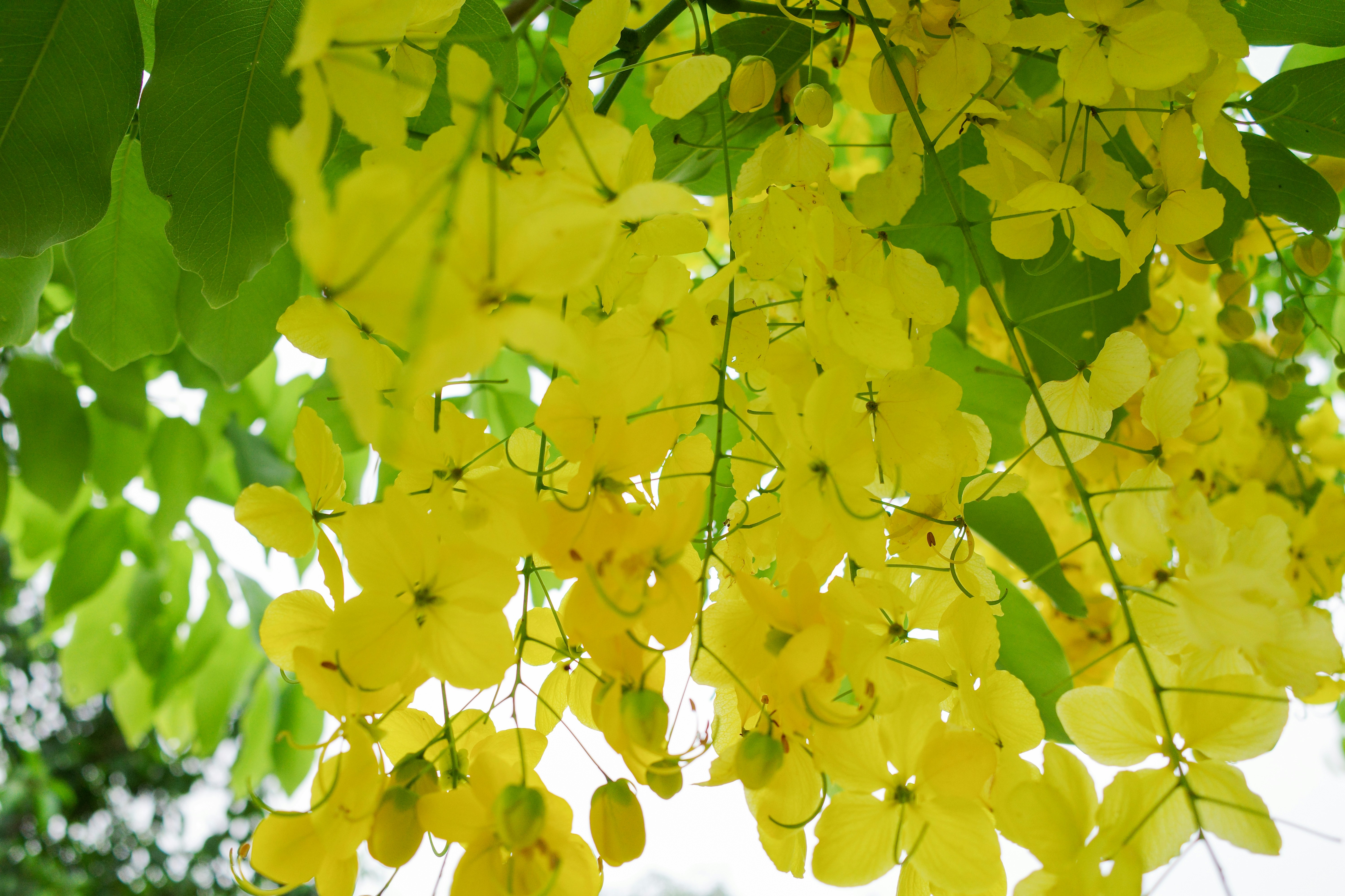 Photo by dickenslin76