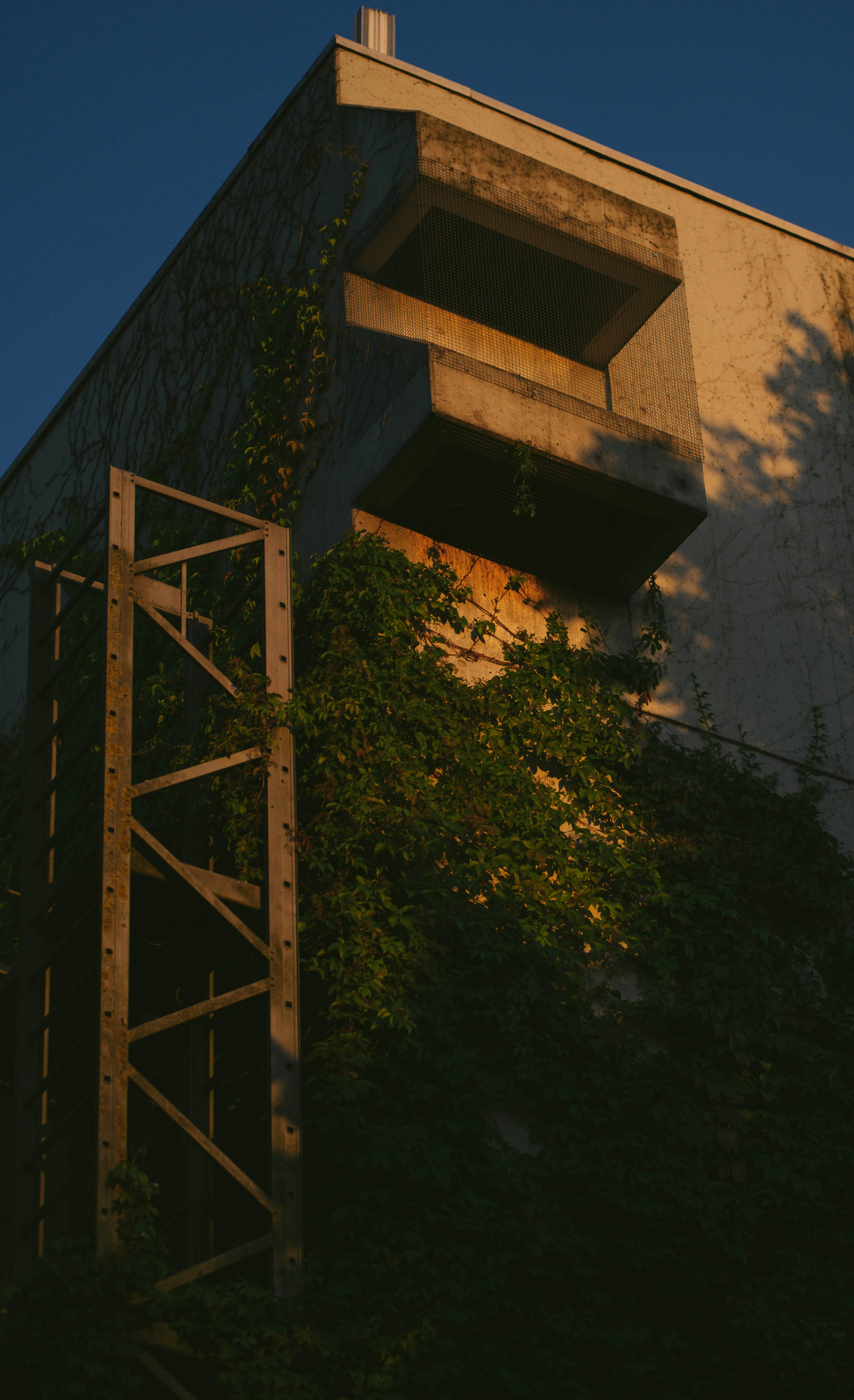 Photo by allexander_h