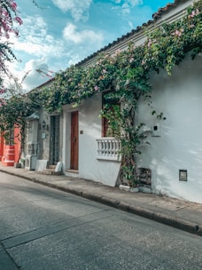 A white building with vines growing on the side of it