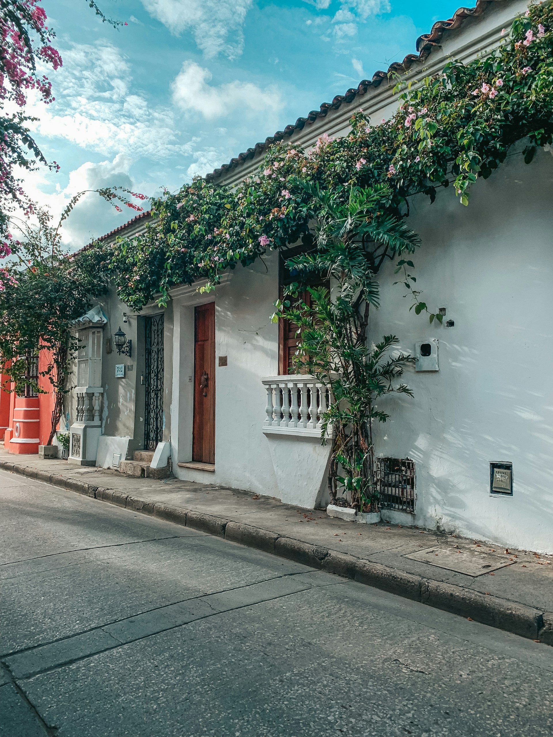 A white building with vines growing on the side of it