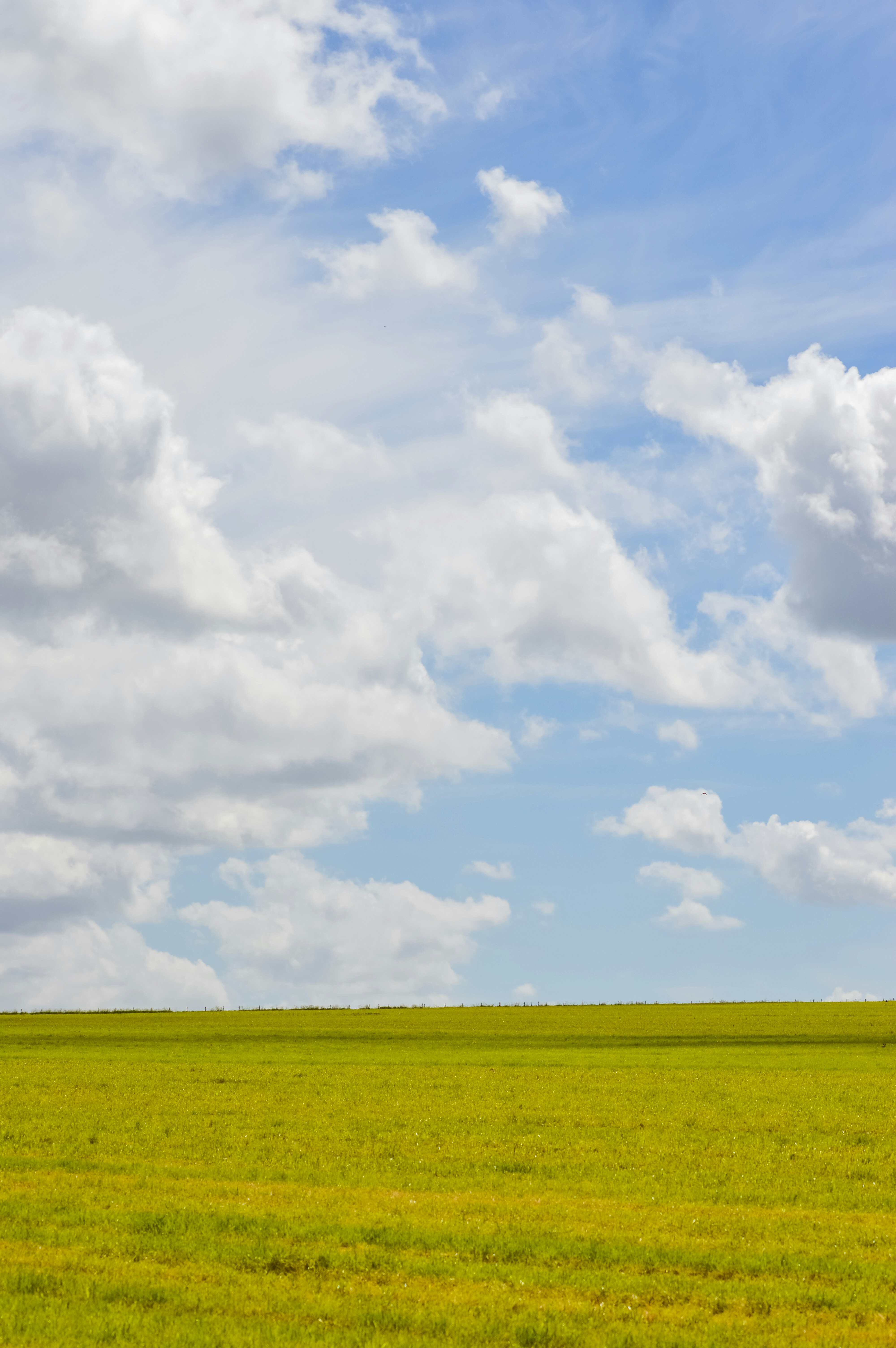 Photo by saidyigitcamlica