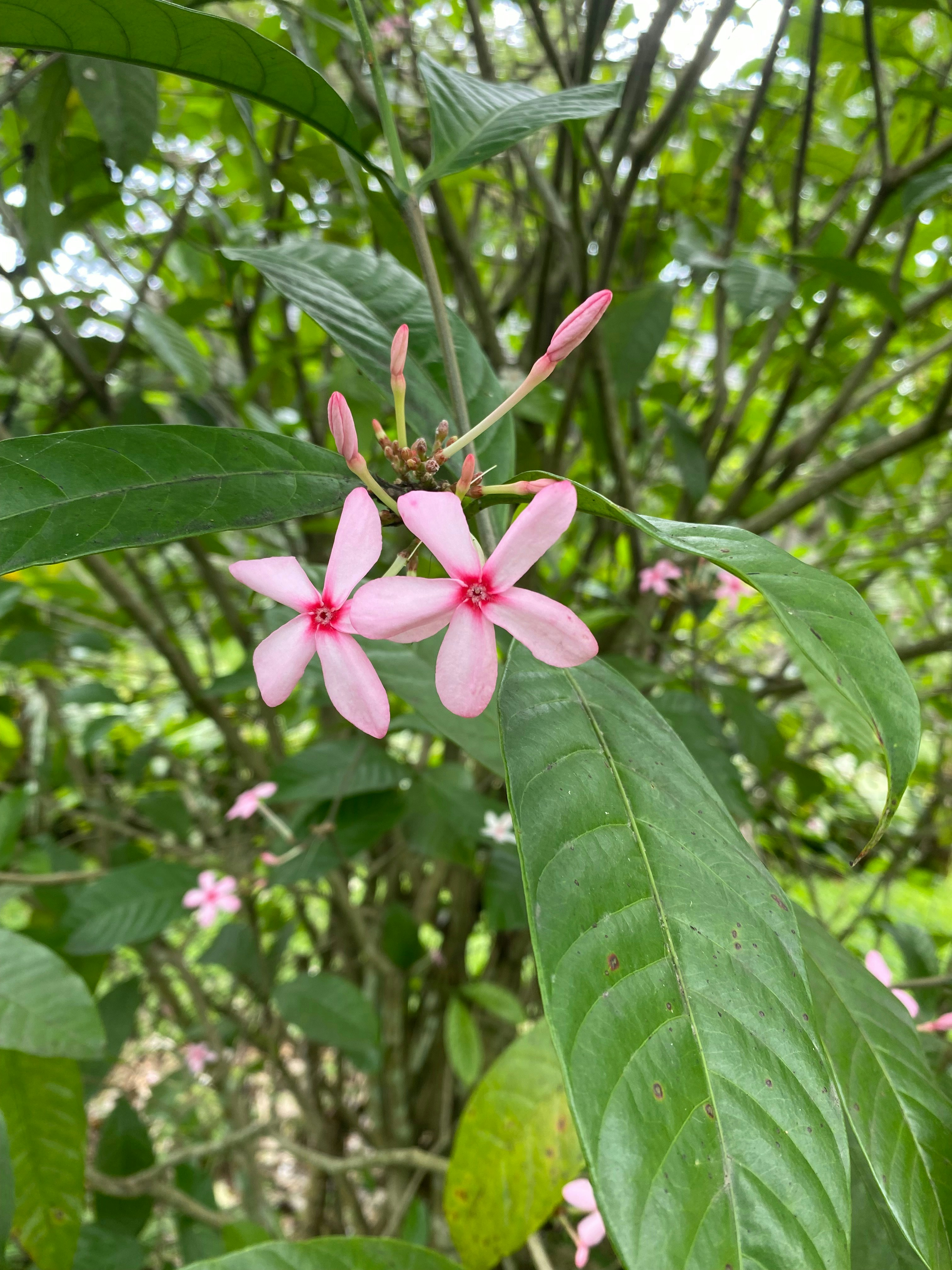 Photo by ivanslaughter