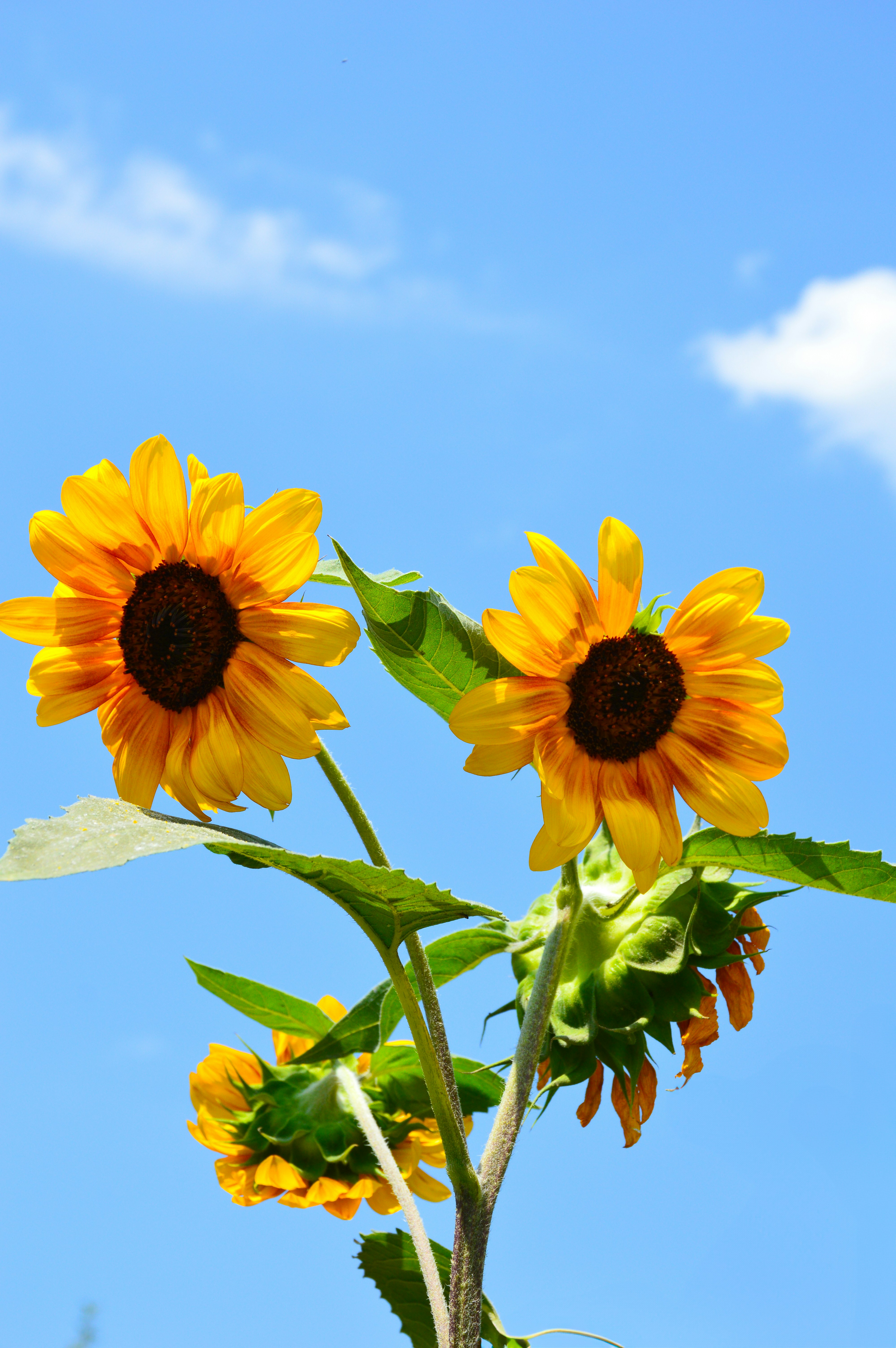 Sunscreen Savings: Beat the Heat (and High Prices) This Summer