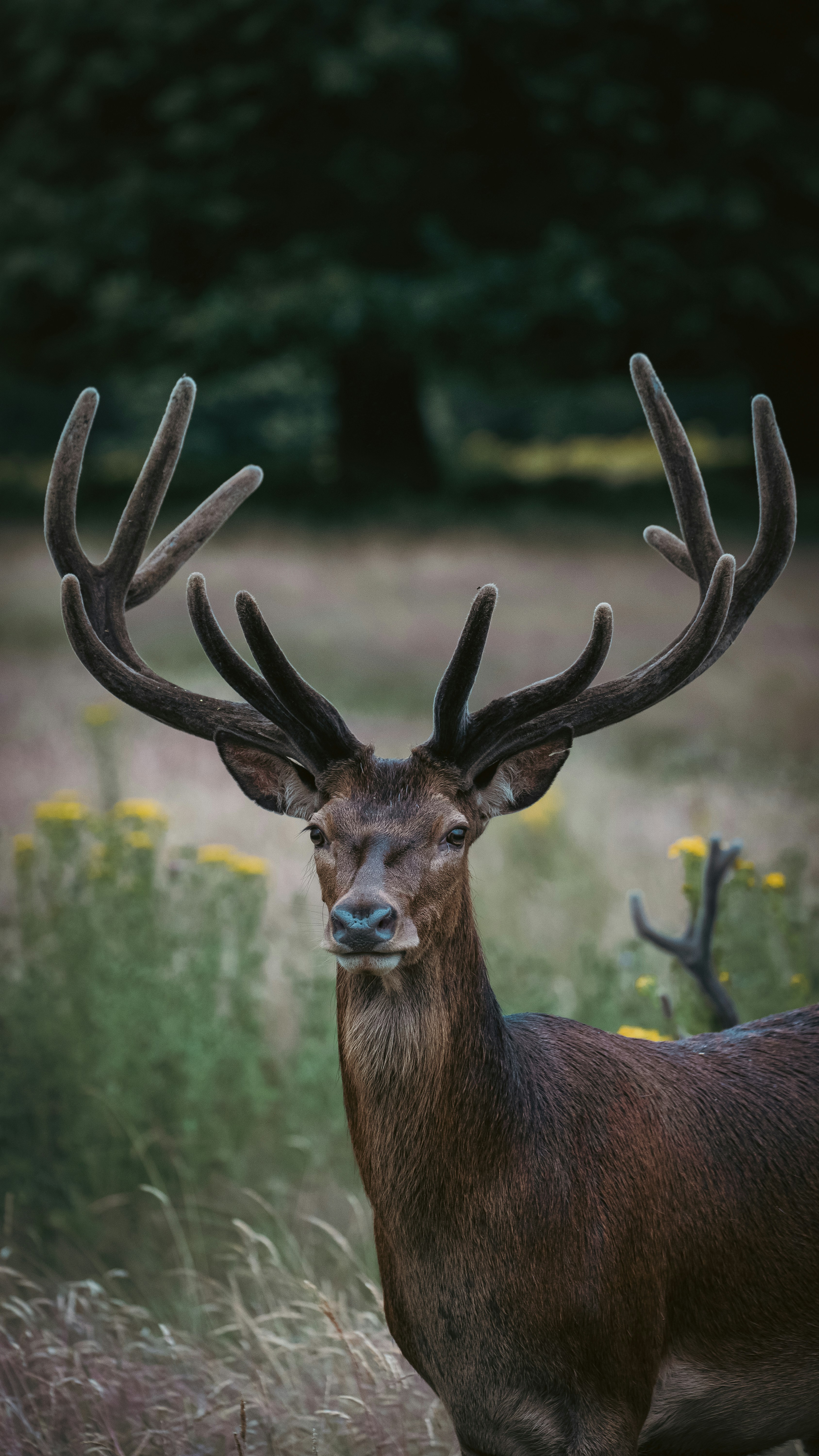 Photo by saidyigitcamlica