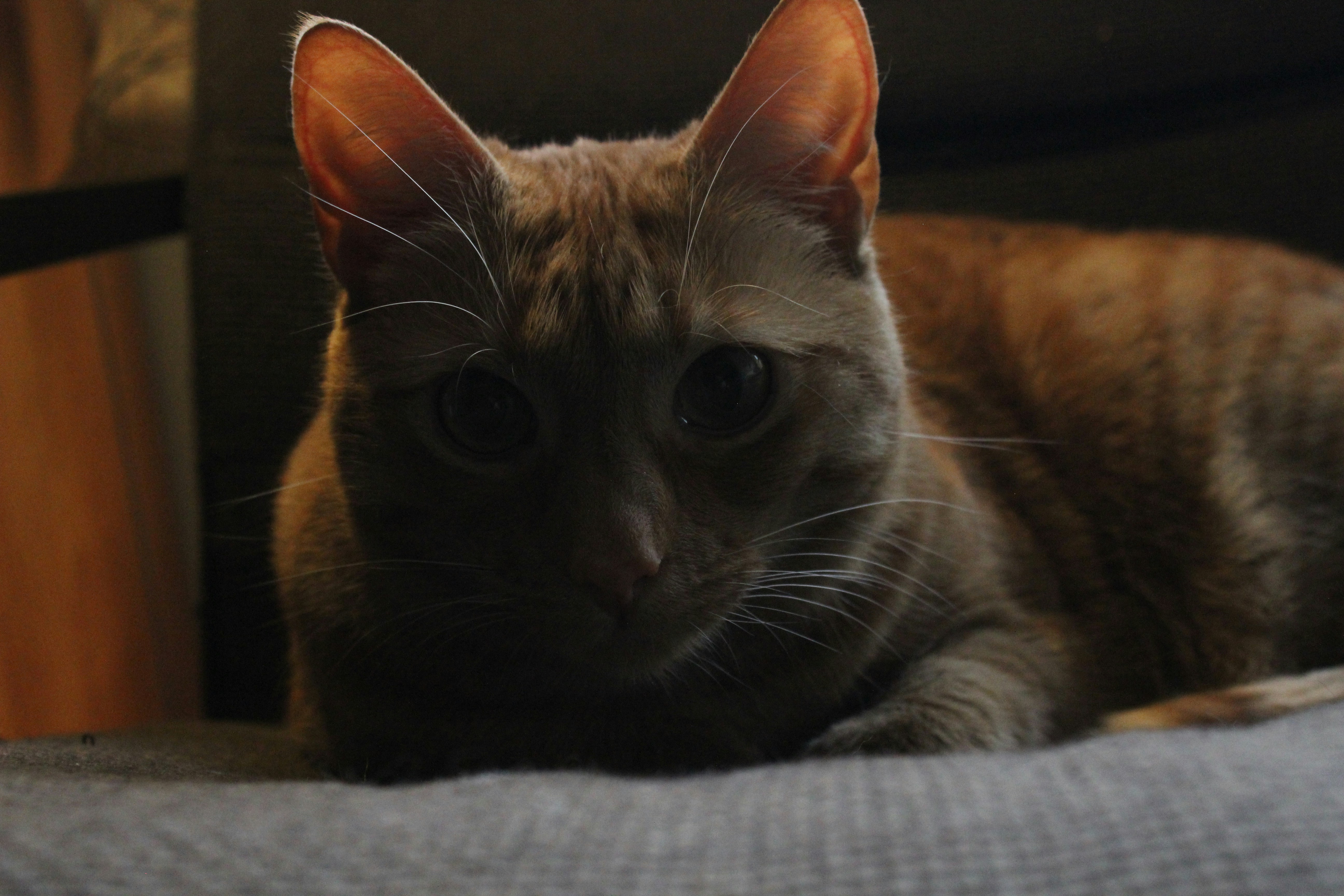 Photo by jurious_ruler_of_the_4_known_worlds