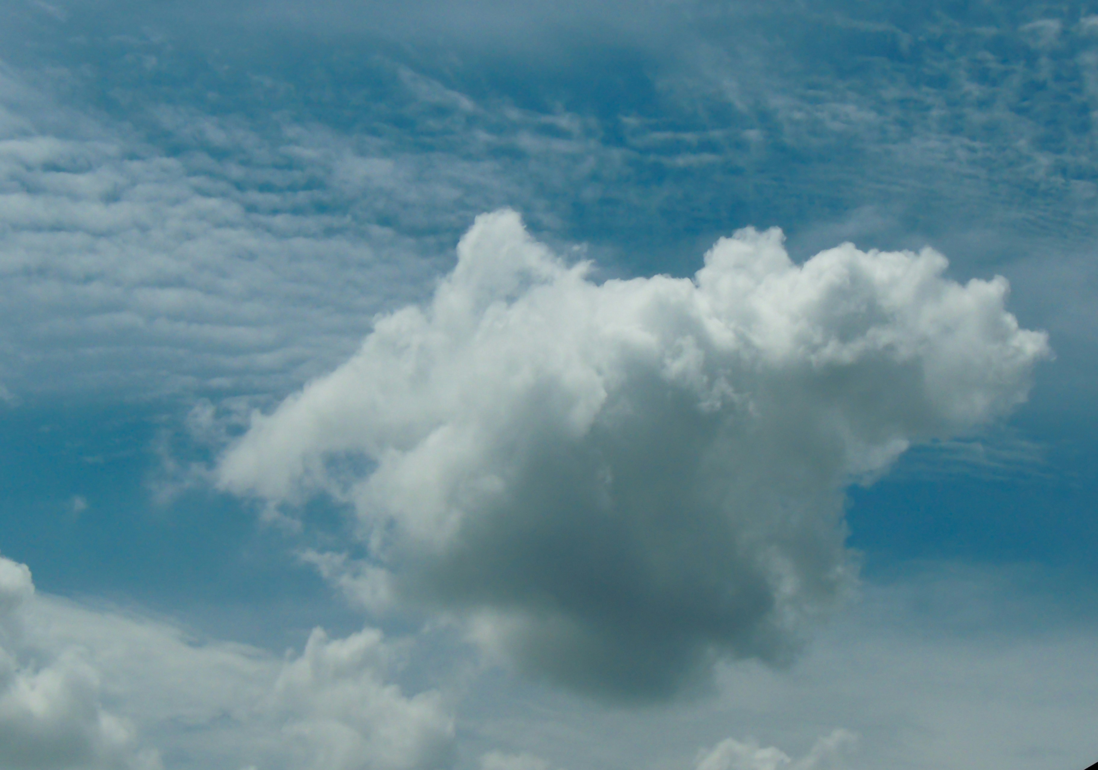 Image de Kubernetes 1.29 est disponible : ce qu’il faut savoir pour vos infrastructures cloud